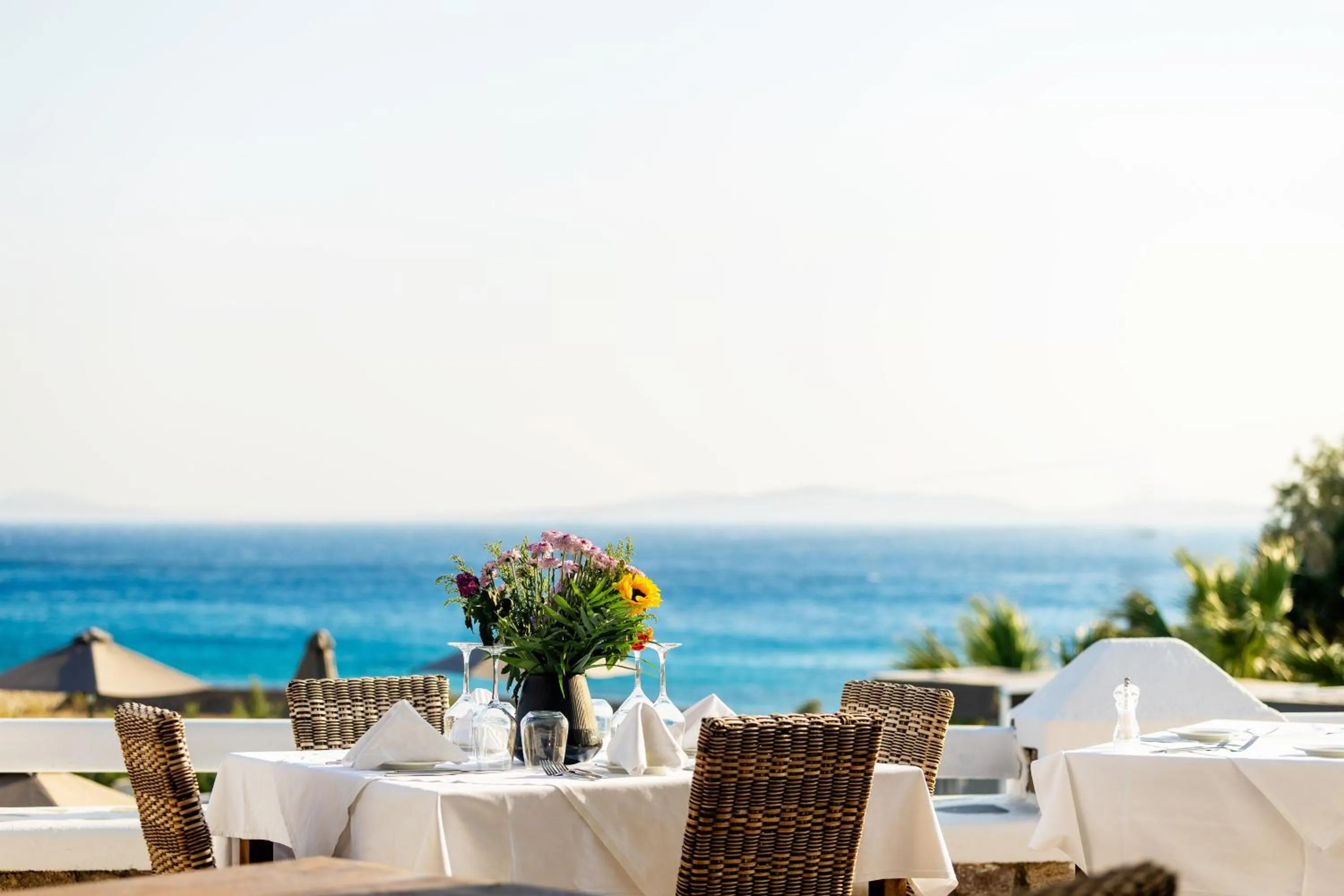 Restaurant/places to eat in San Marco Hotel and Villas