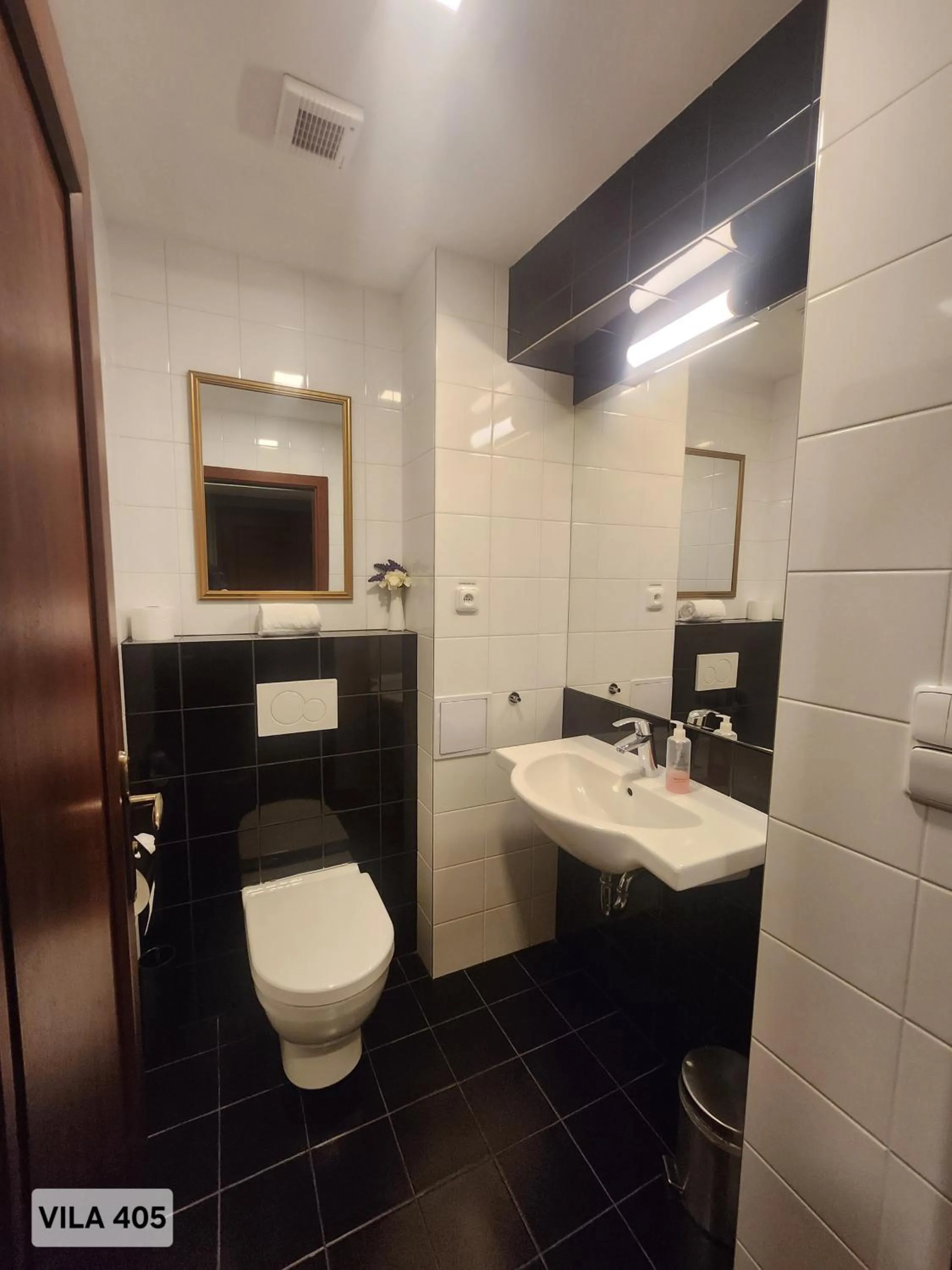 Toilet in City Hotel Morris