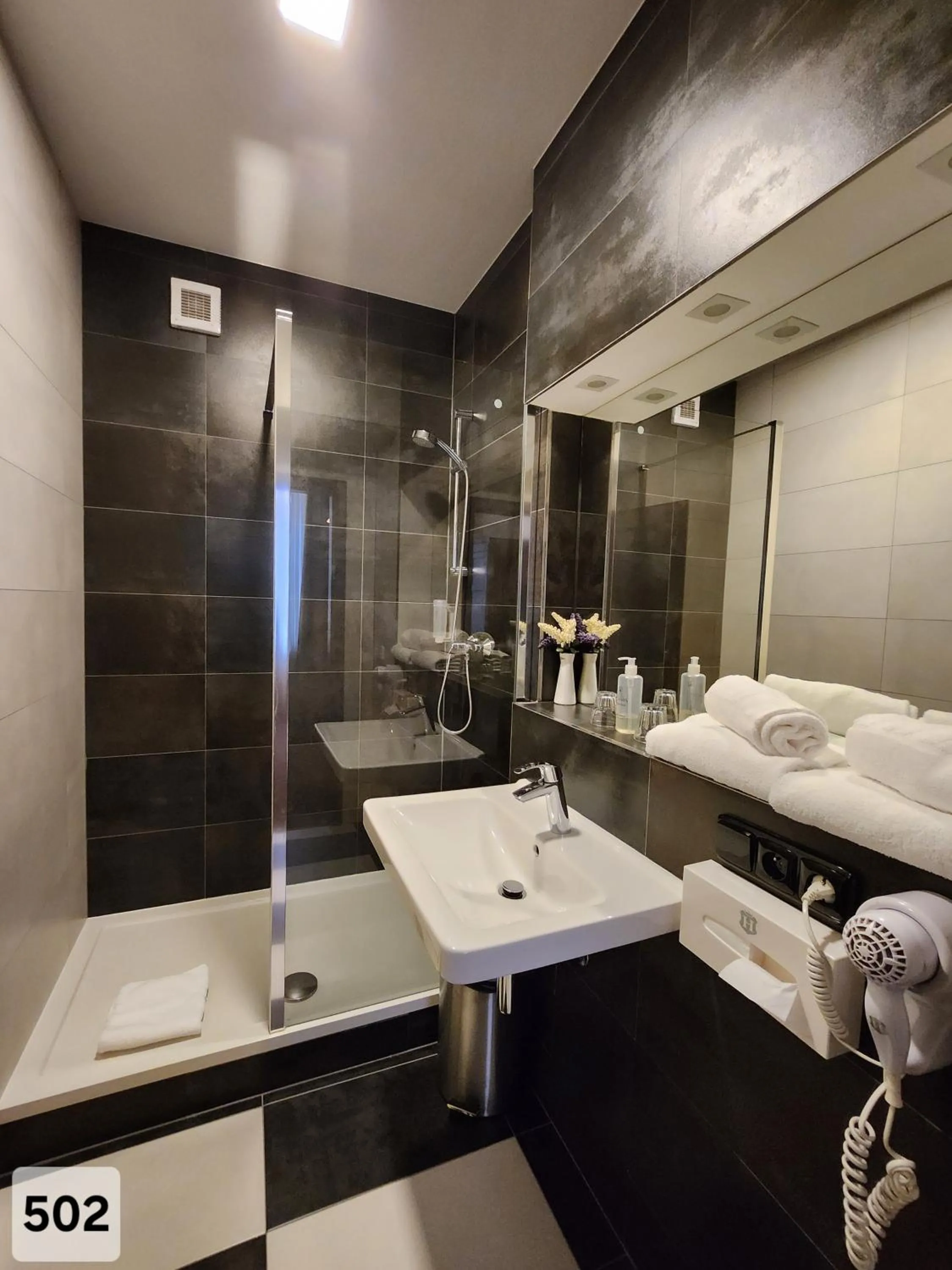 Shower in City Hotel Morris
