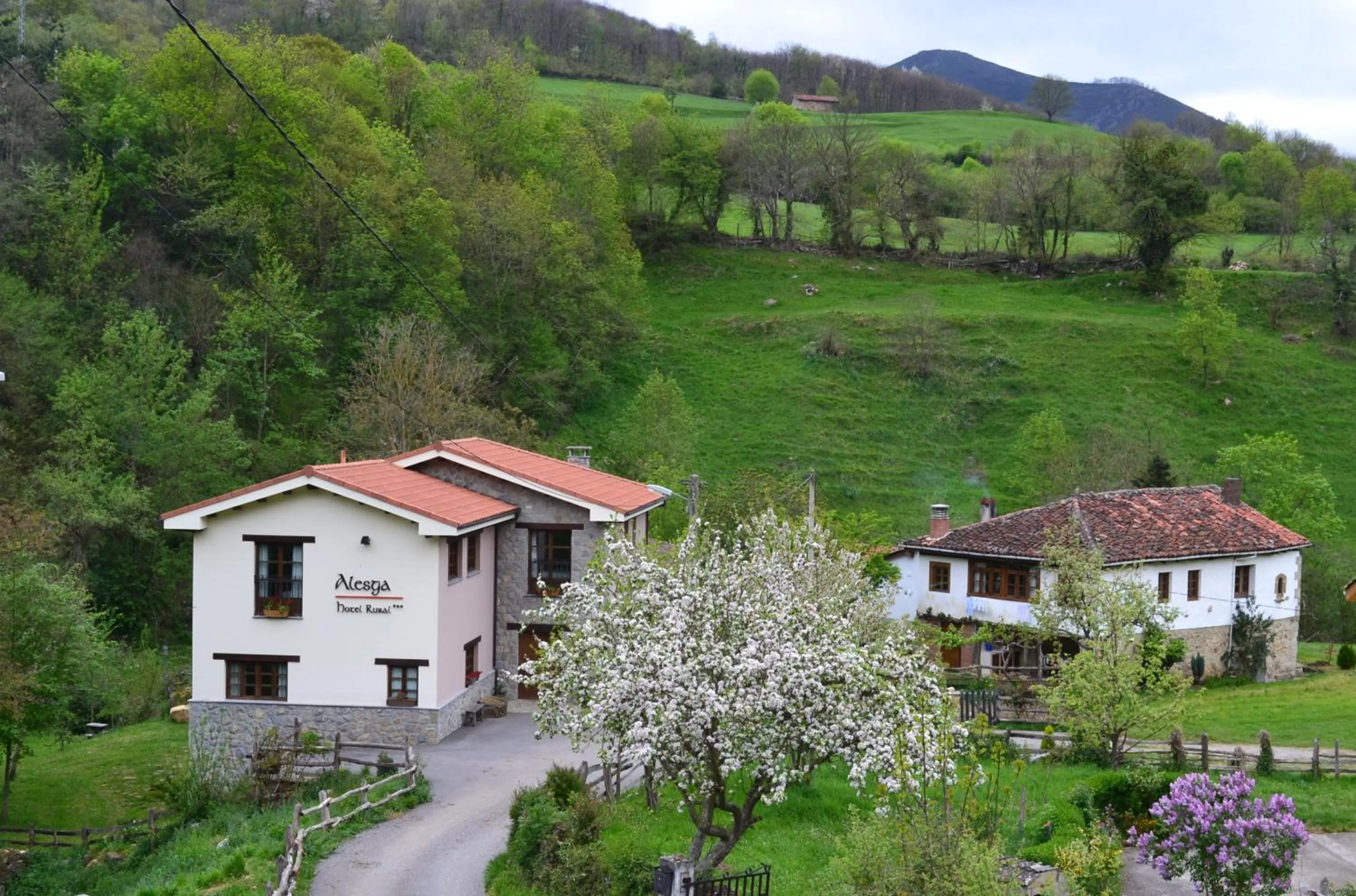 Facade/entrance in Alesga Hotel Rural - Valles del Oso -Asturias