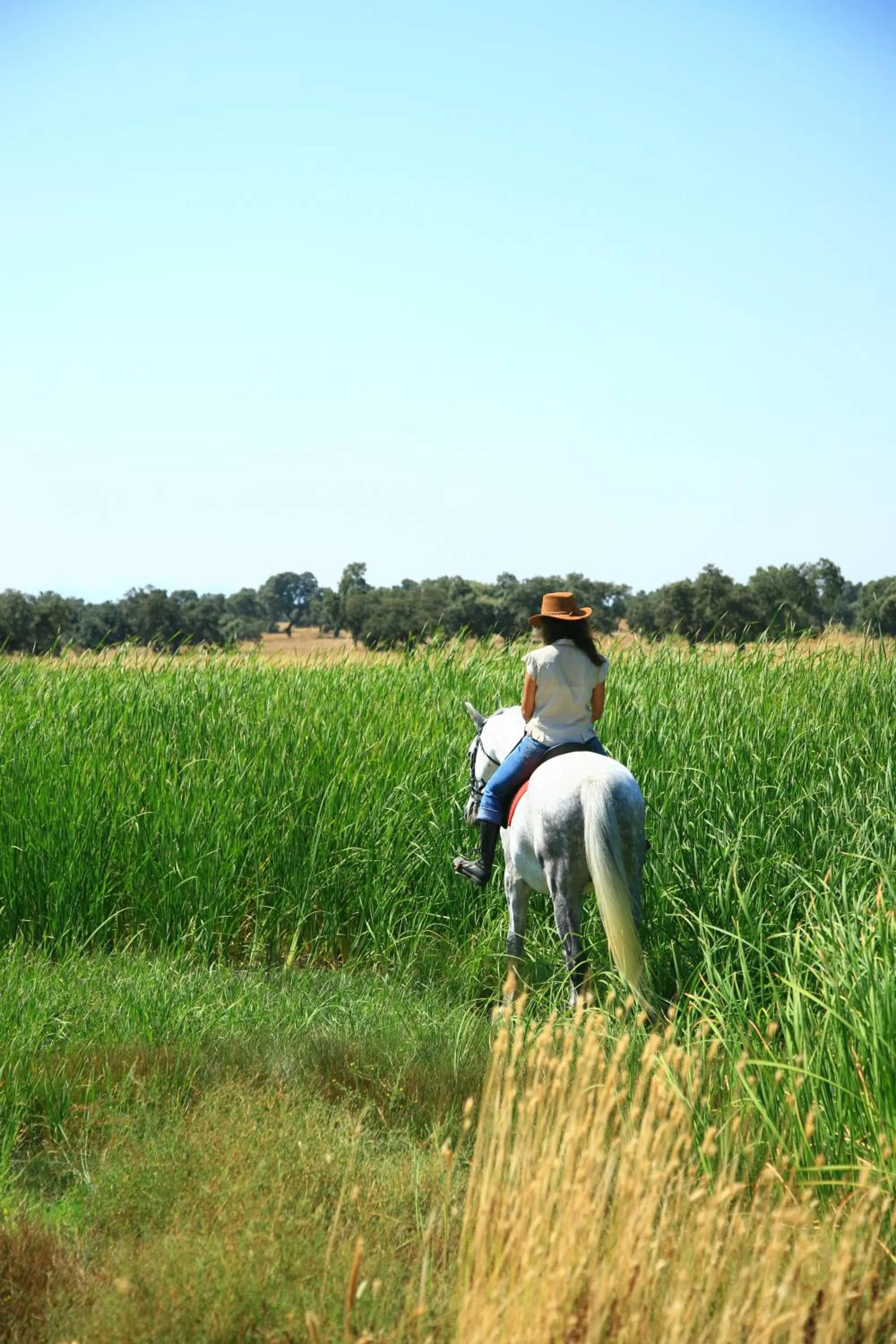 Horse-riding in Hotel Valdepalacios Gourmand 5* GL