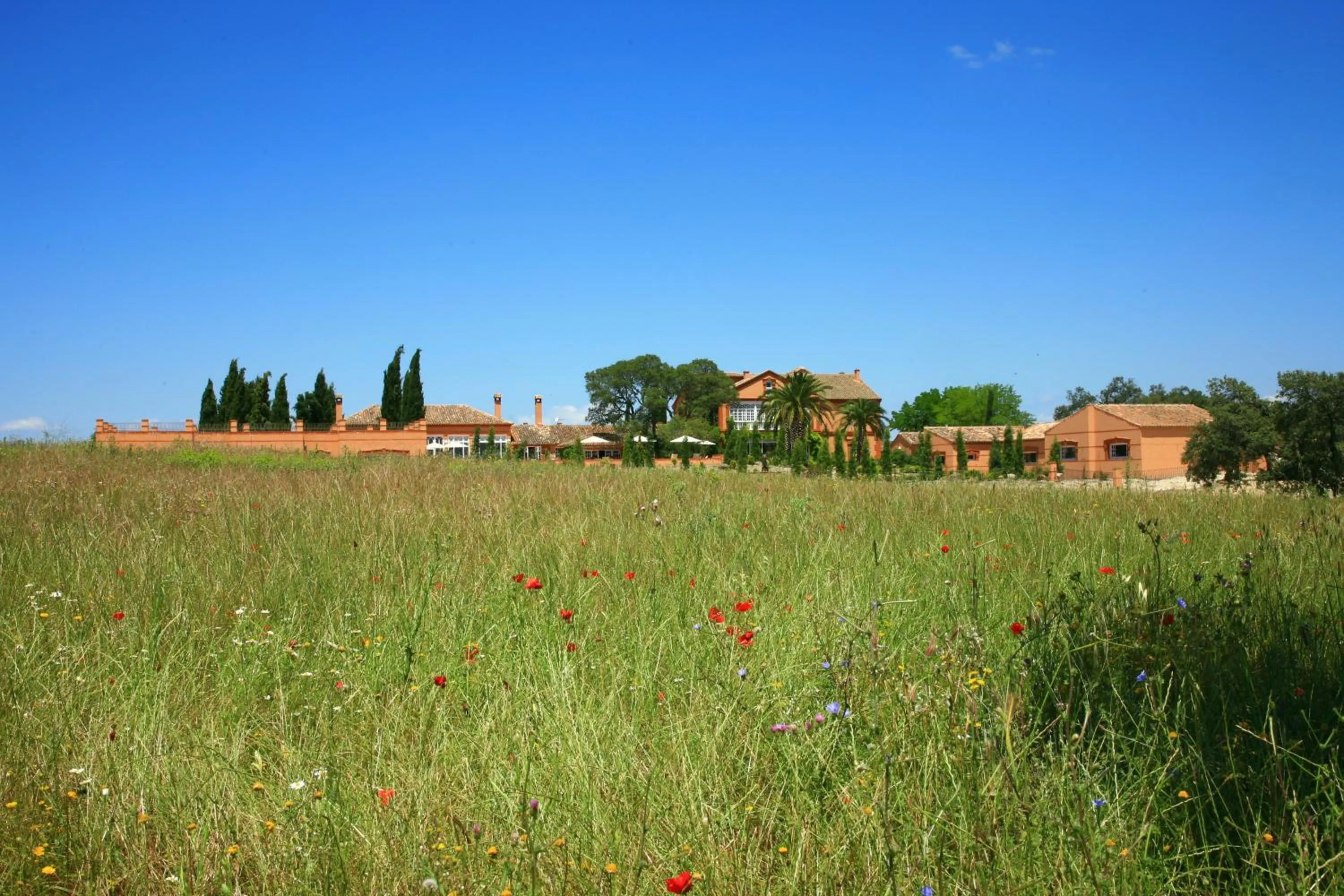 Garden in Hotel Valdepalacios Gourmand 5* GL