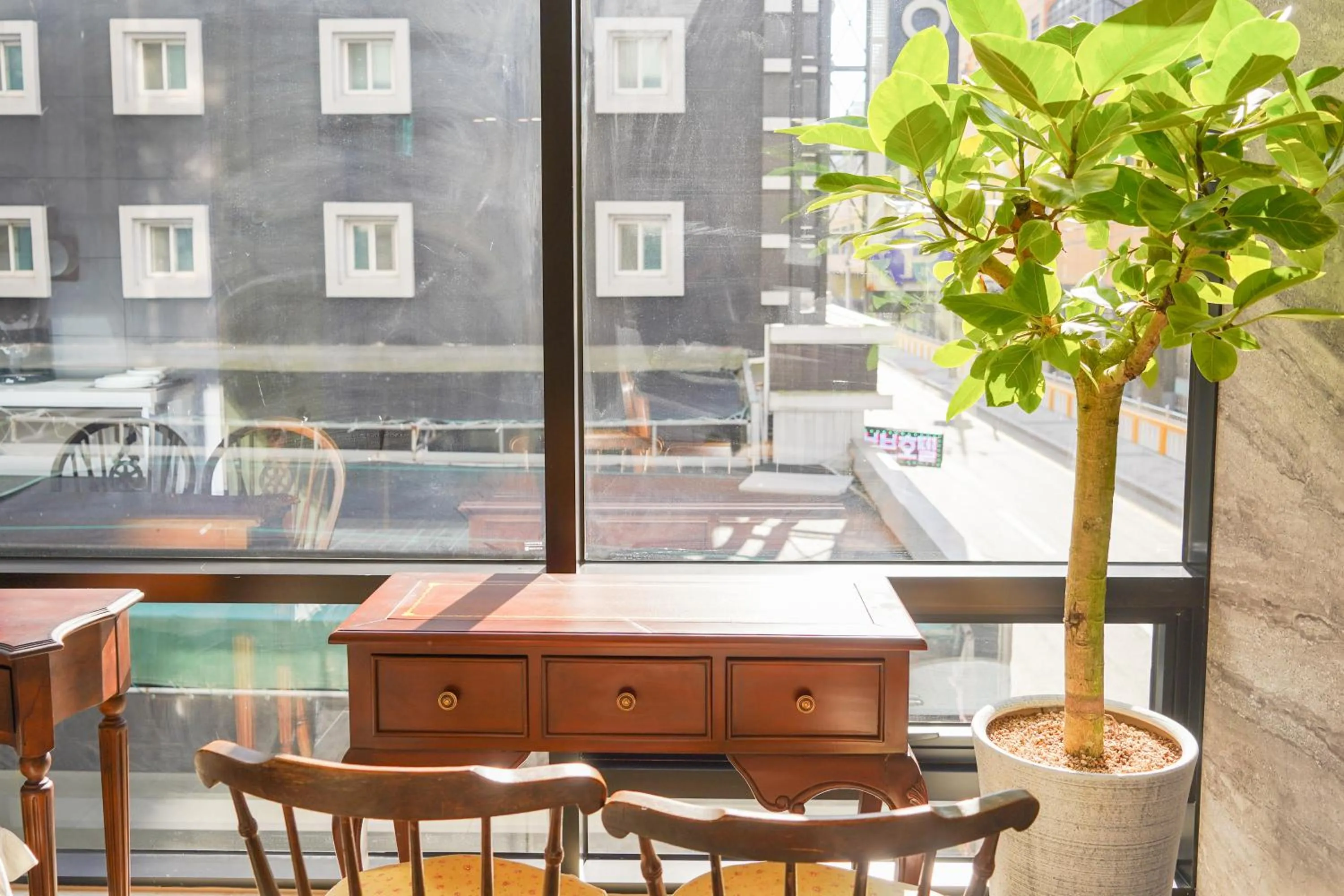 View (from property/room) in Rose Bay Hotel