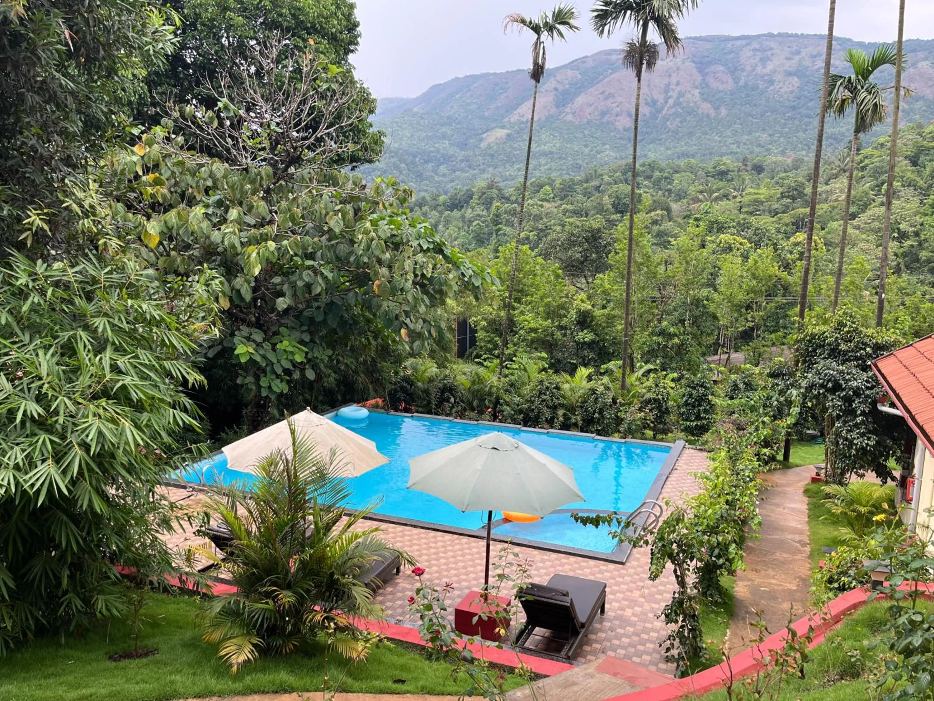 Swimming pool in Hill Crest Resort - Coorg