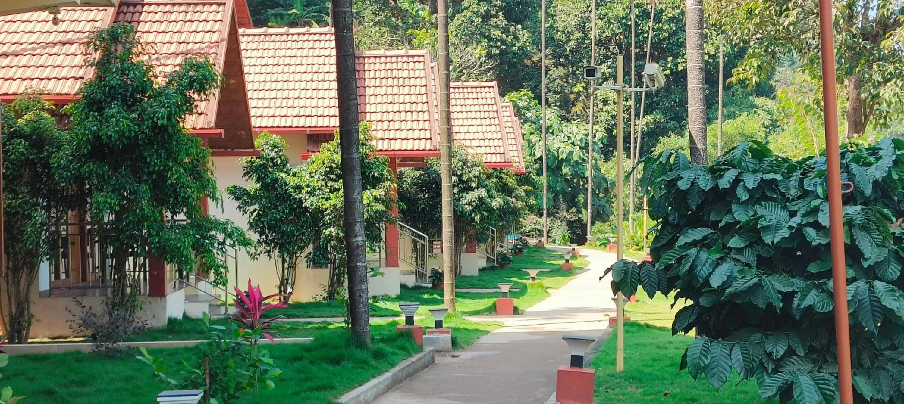 Natural landscape in Hill Crest Resort - Coorg