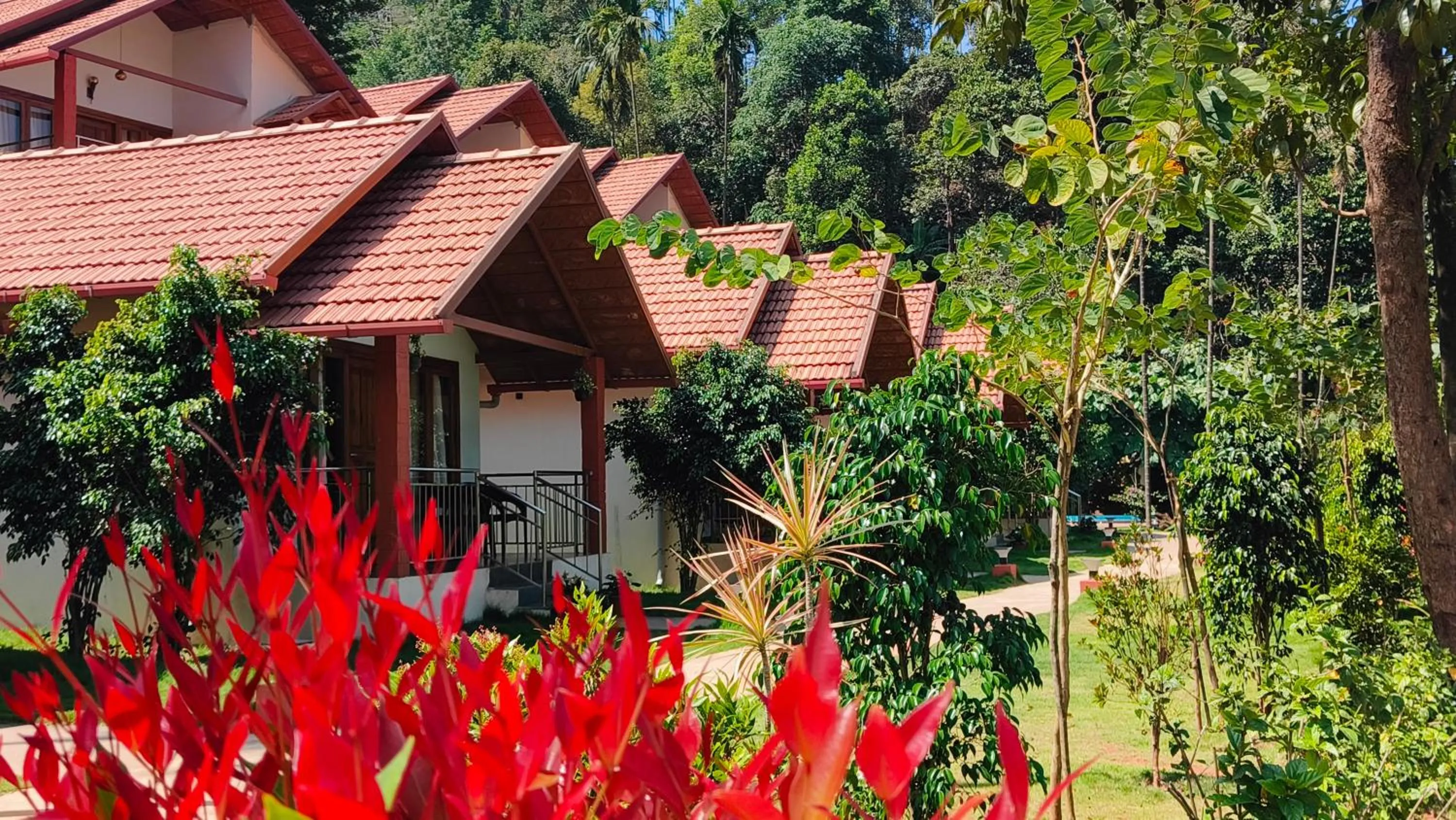 Garden in Hill Crest Resort - Coorg