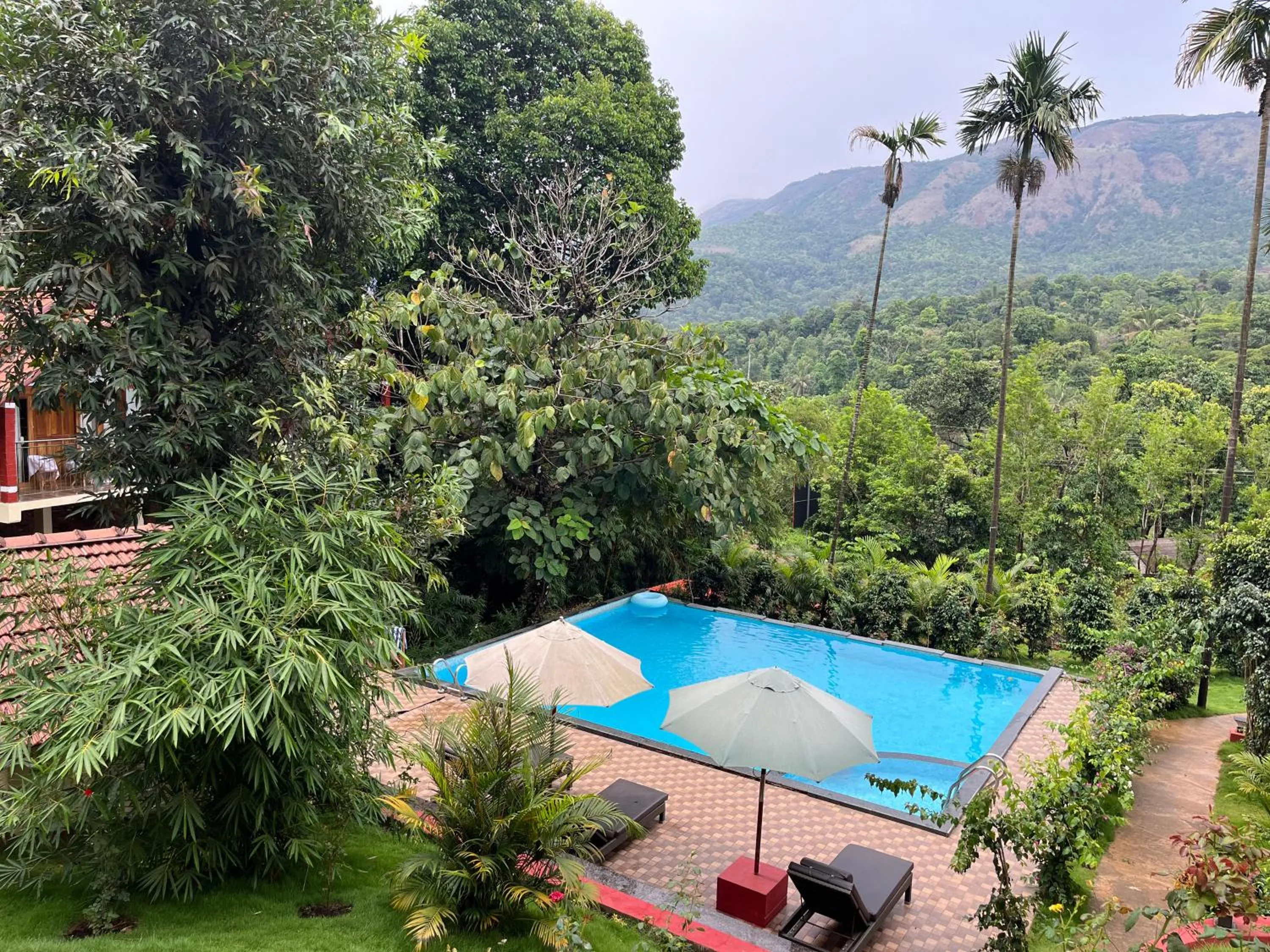 Swimming pool in Hill Crest Resort - Coorg