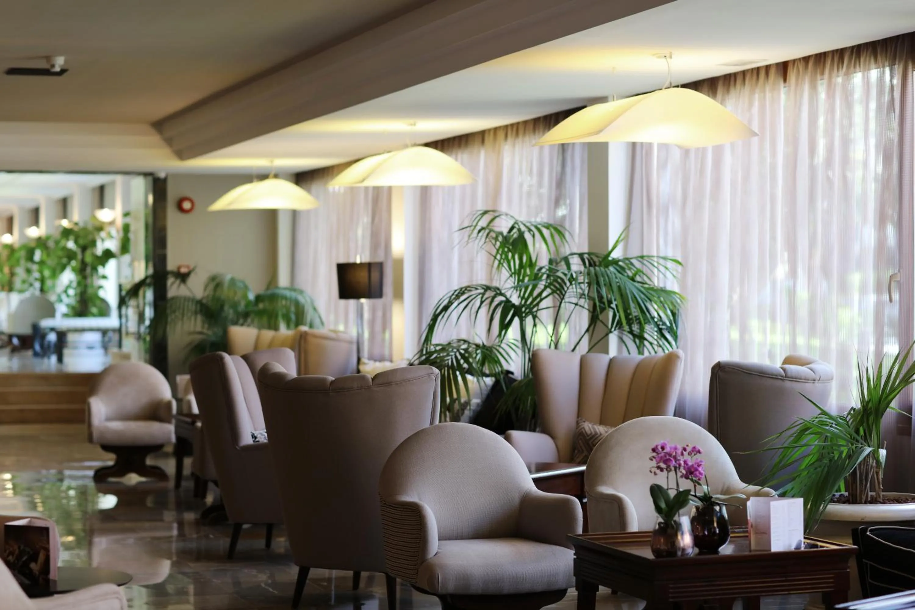 Lounge or bar in Hotel Son Caliu Spa Oasis