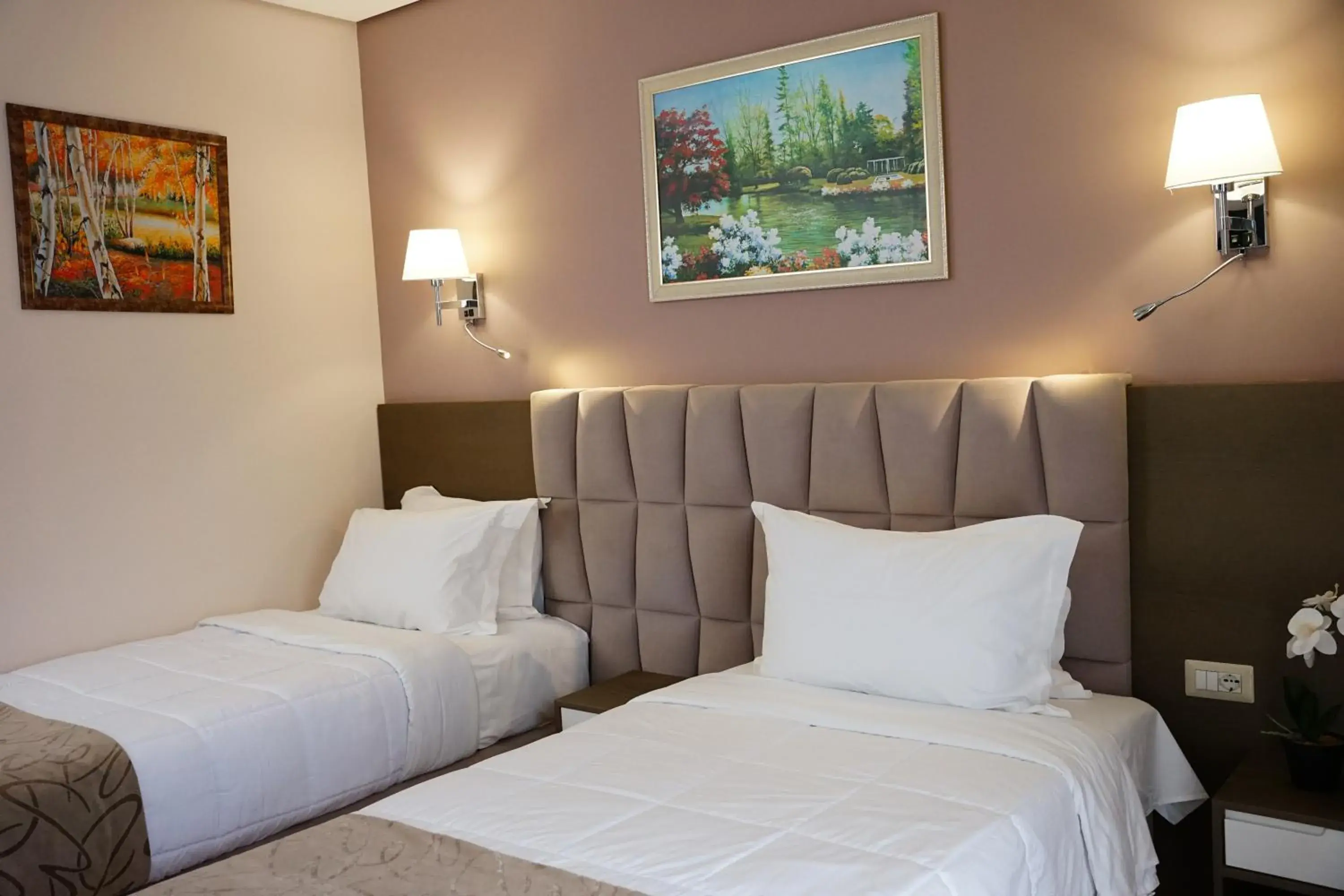 Standard Twin Room in Doanesia Premium Hotel & Spa Standard Twin Room in Doanesia Premium Hotel & Spa
