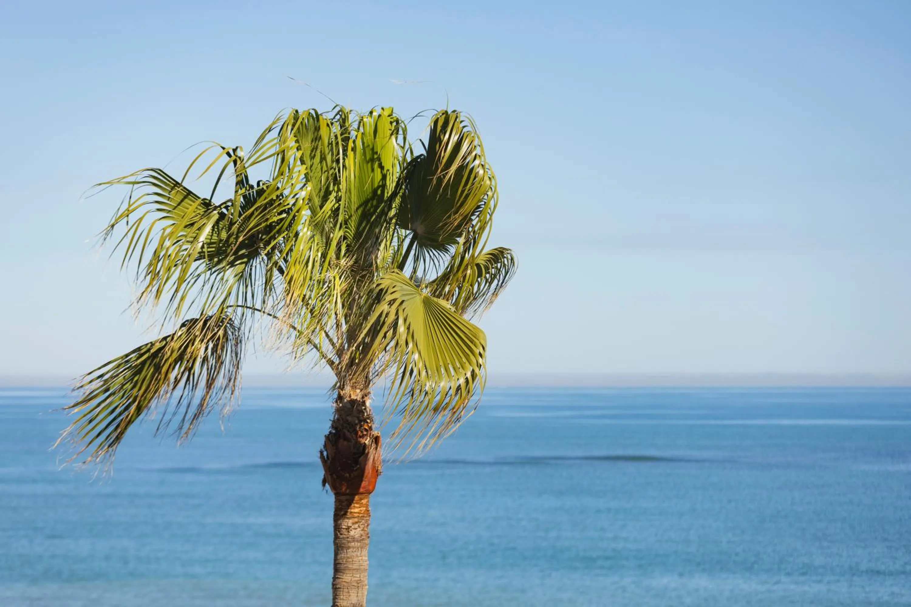 Sea view in Hotel Los Ángeles Denia
