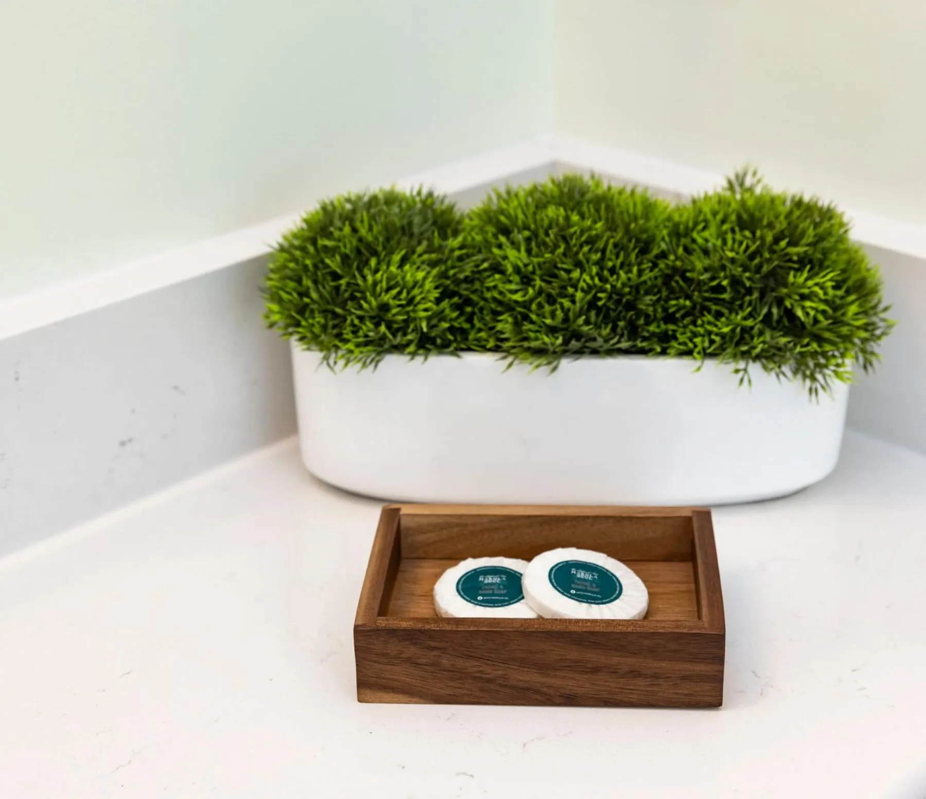 The Waverly 100 Inn at Old Beach