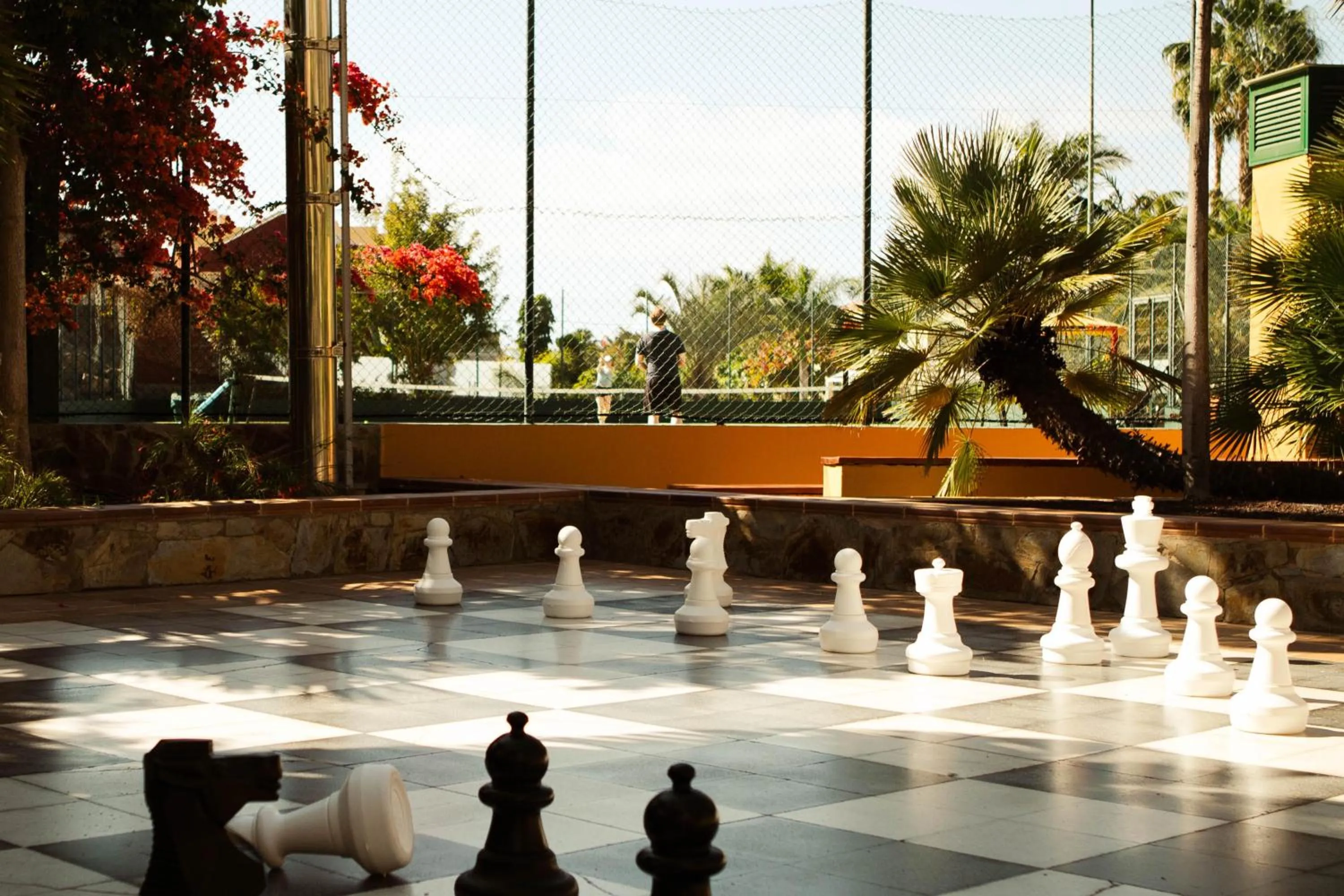 Entertainment in Hotel Cordial Mogán Playa