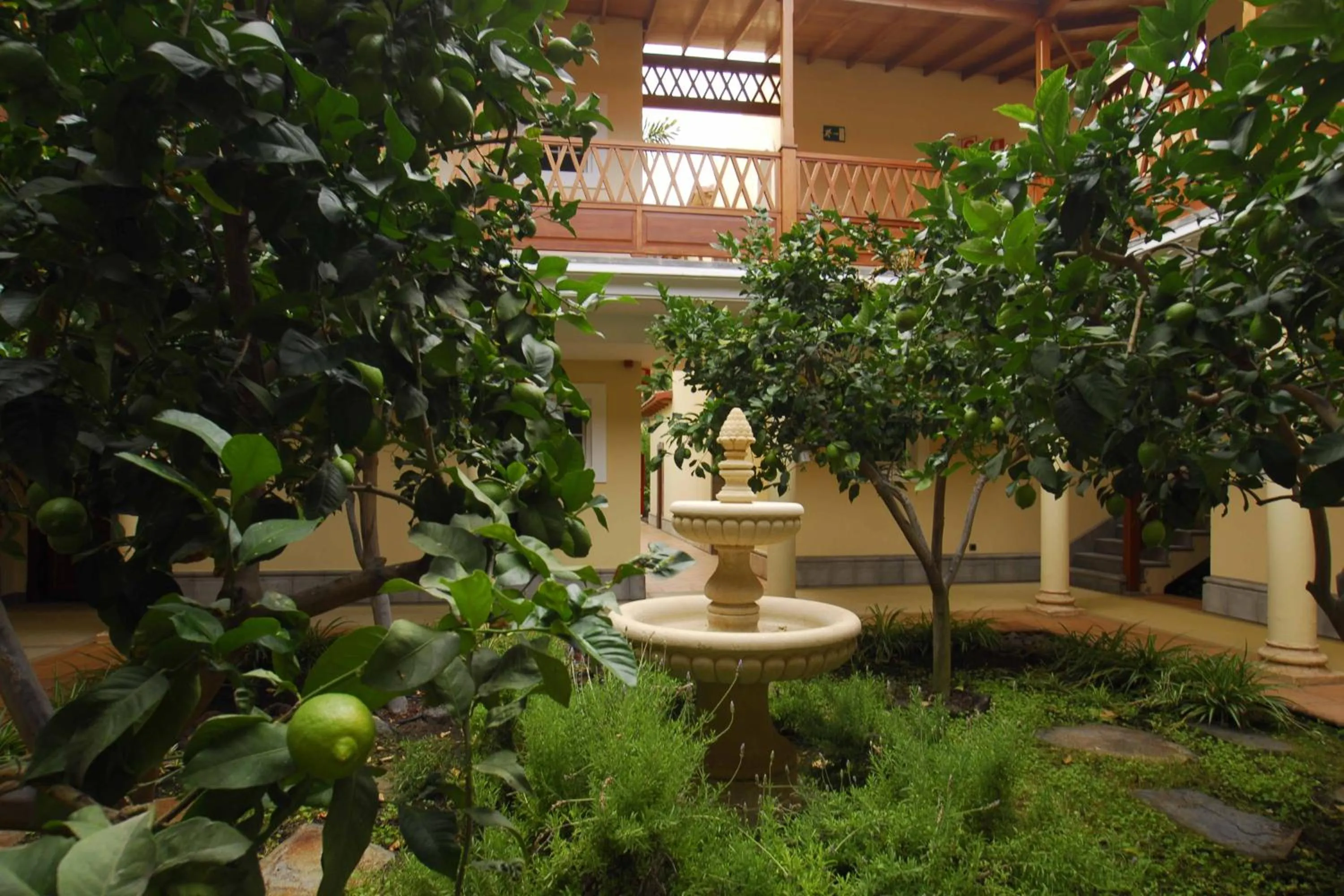 Garden in Hotel Cordial Mogán Playa