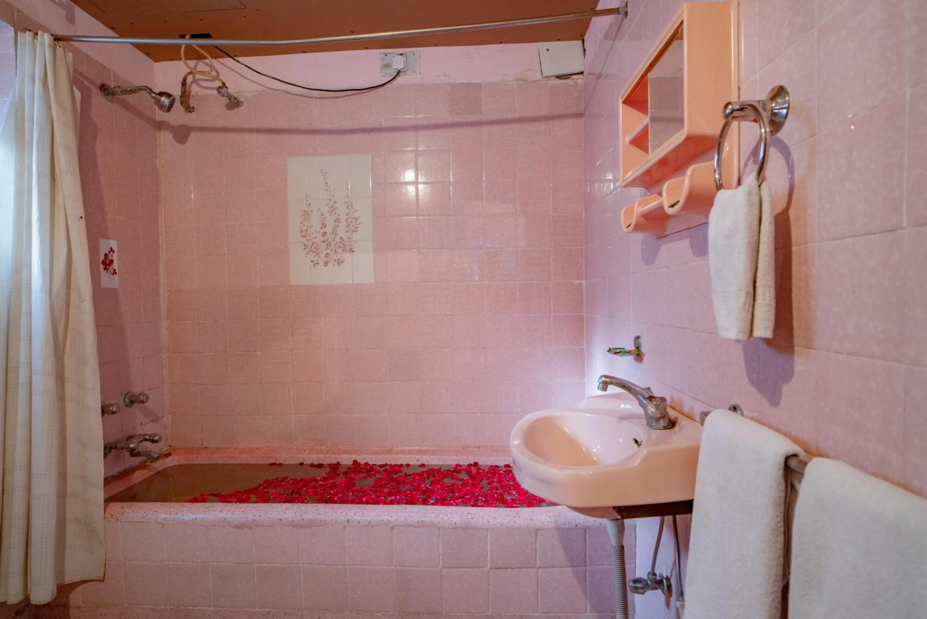 Shower, Bed in Hotel Ambavgarh Palace