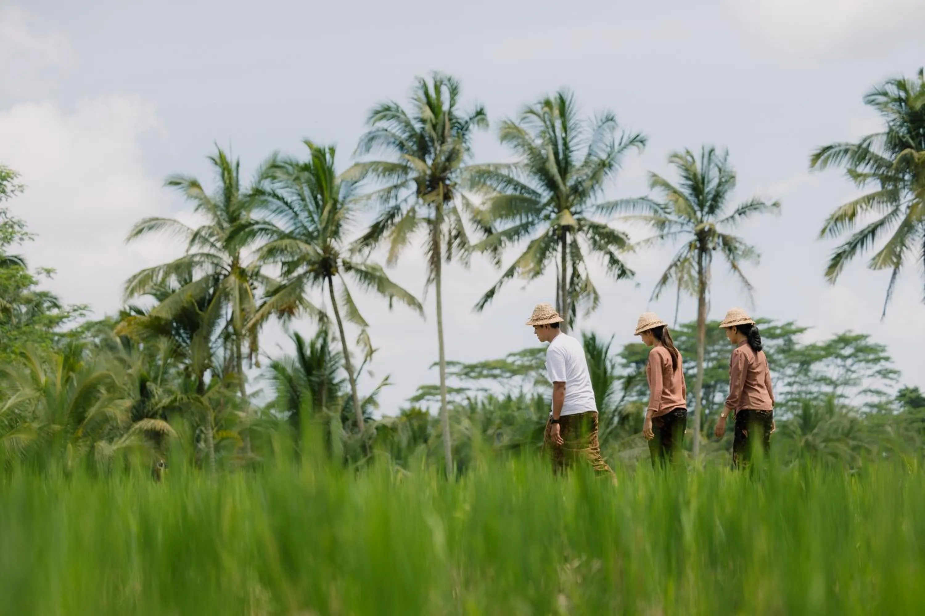 Spring in Horison Ume Suites & Villas