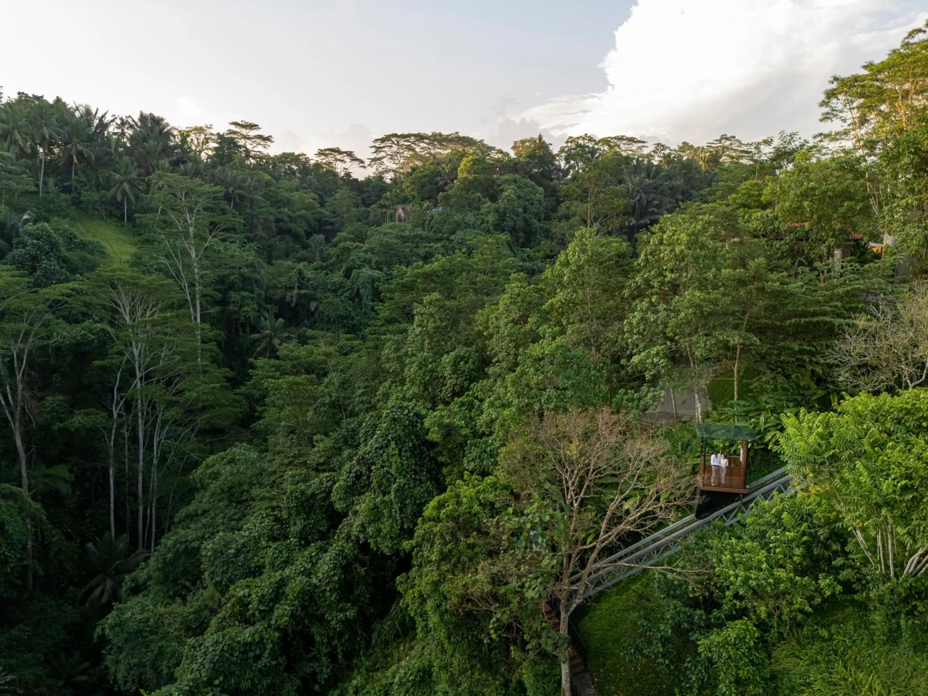 Natural landscape in Metland Venya Ubud