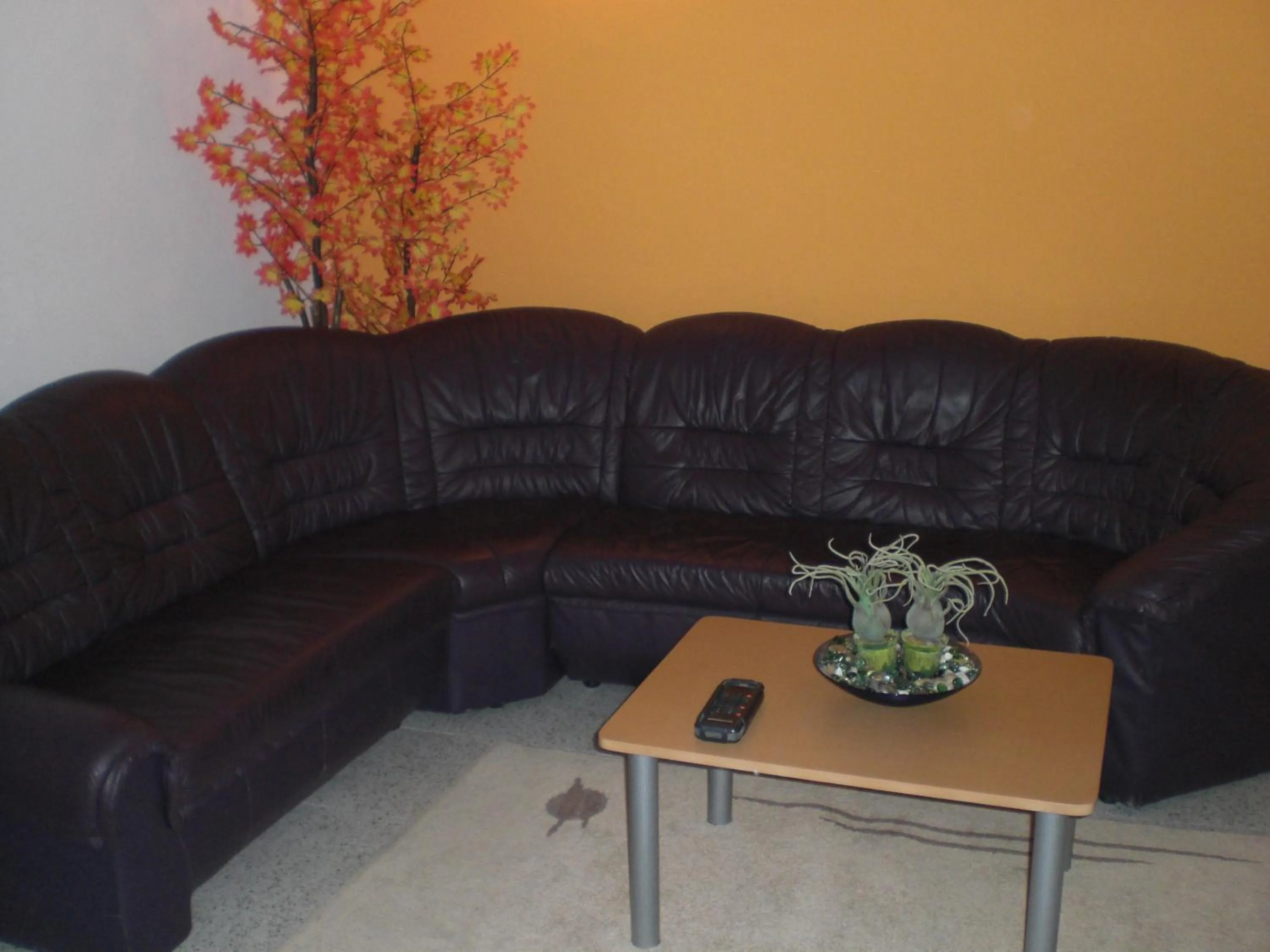 Lounge or bar in Hotel Reig