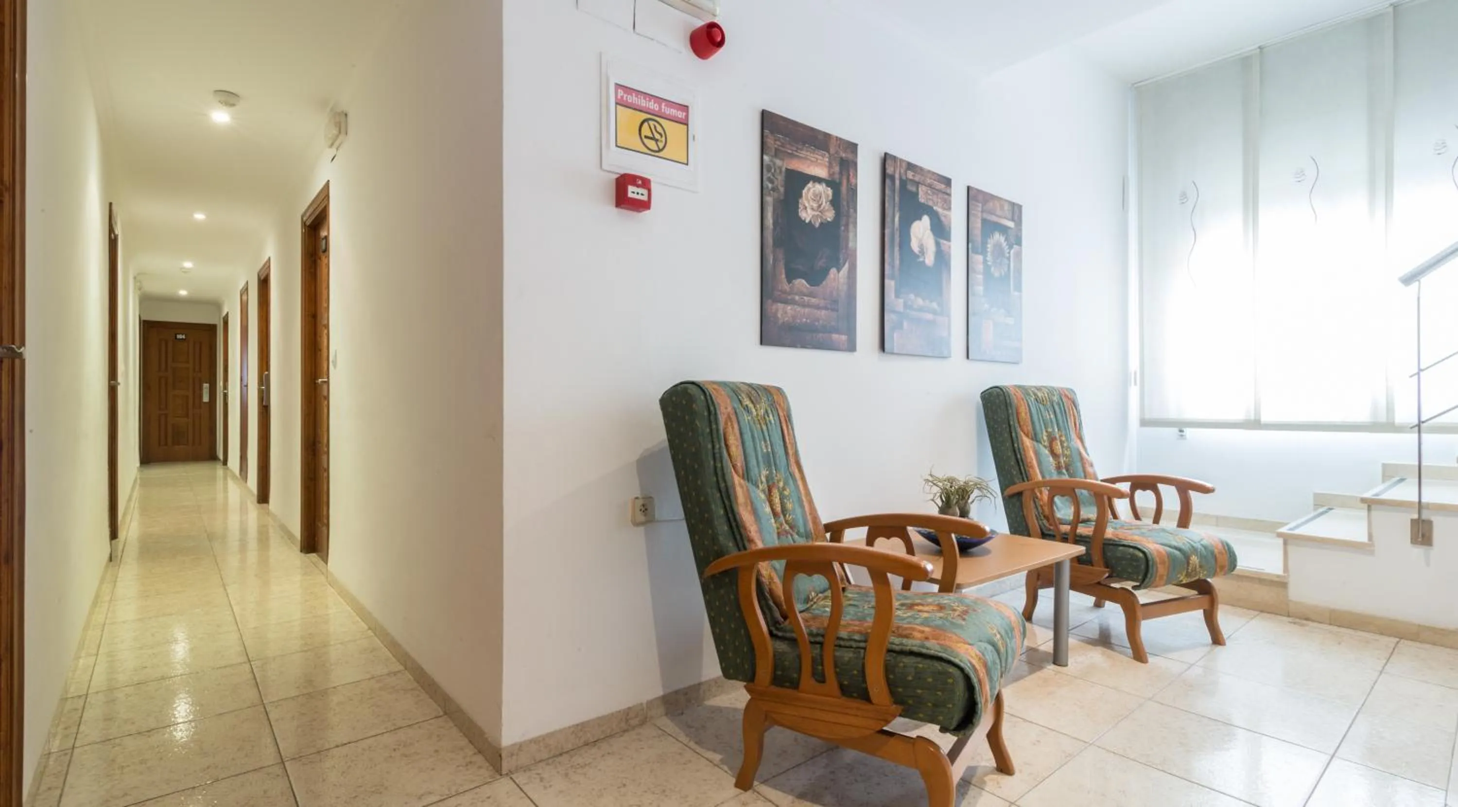 Area and facilities in Hotel Reig