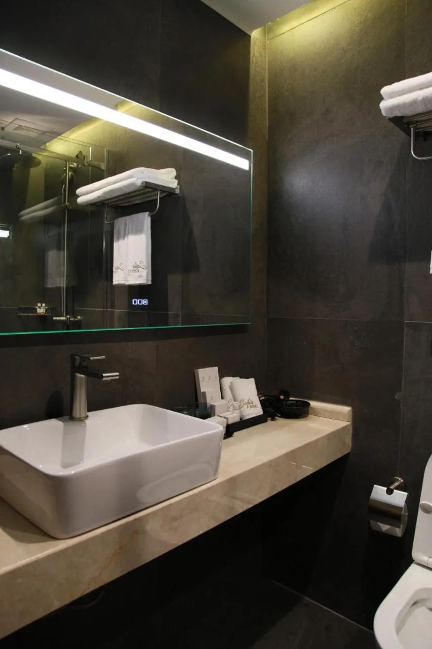 Bathroom in Sofia International Hotel
