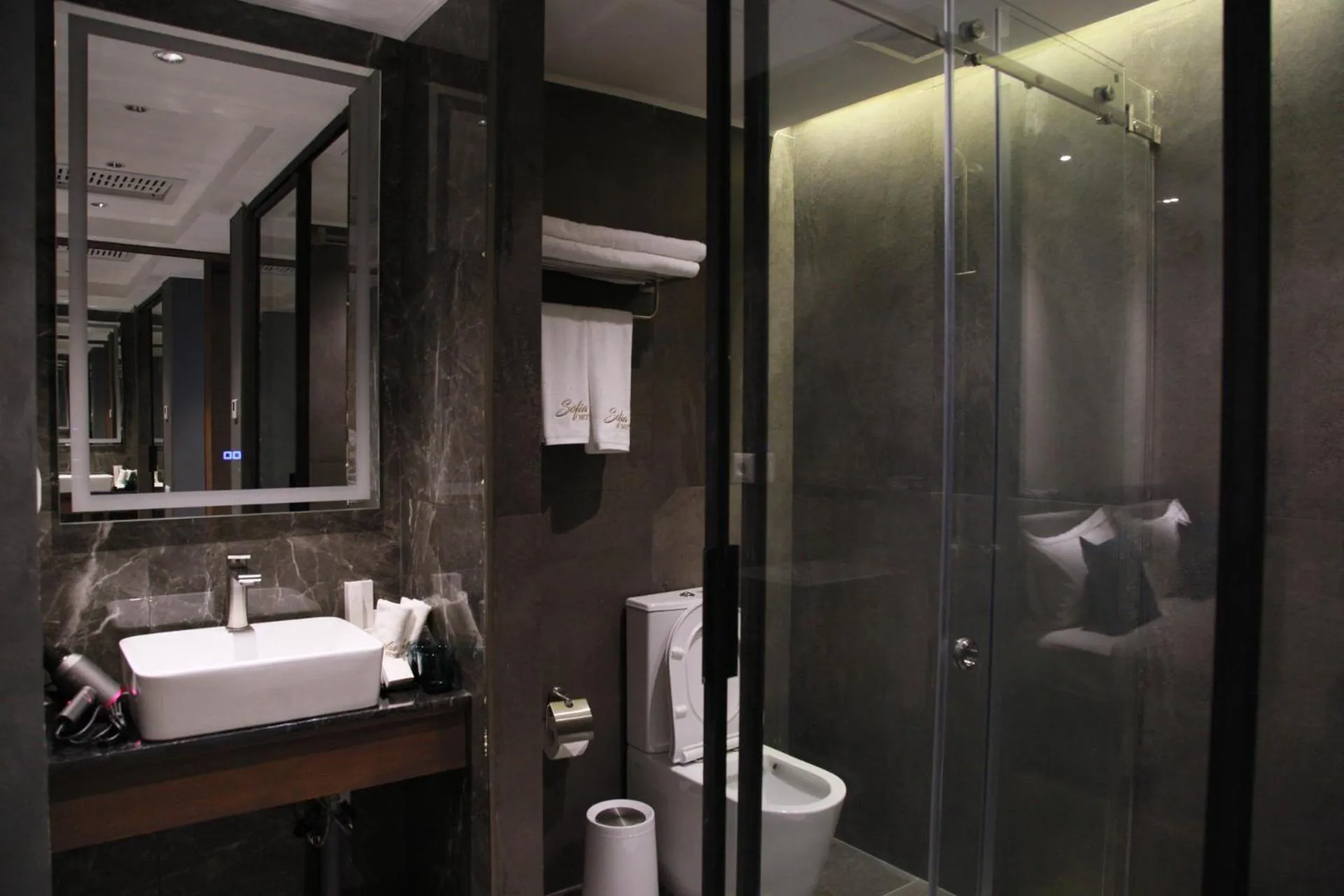 Shower in Sofia International Hotel