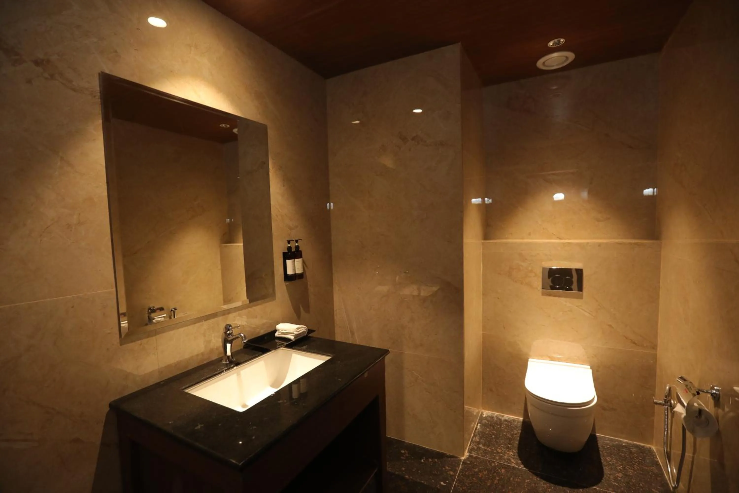 Bathroom in Regenta City Vilas Palace Ambala