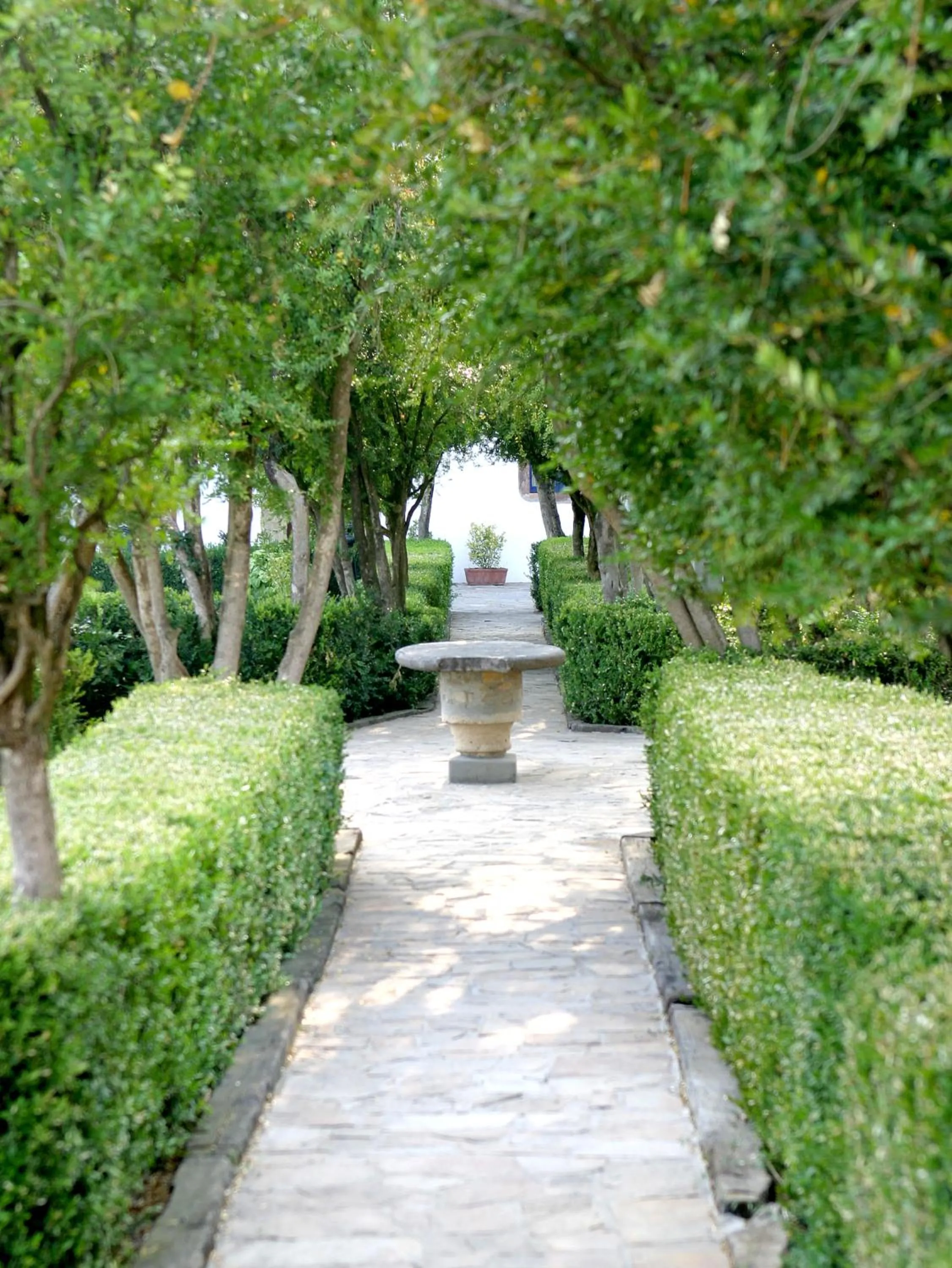 Garden in Hotel Monumento Pazo do Castro