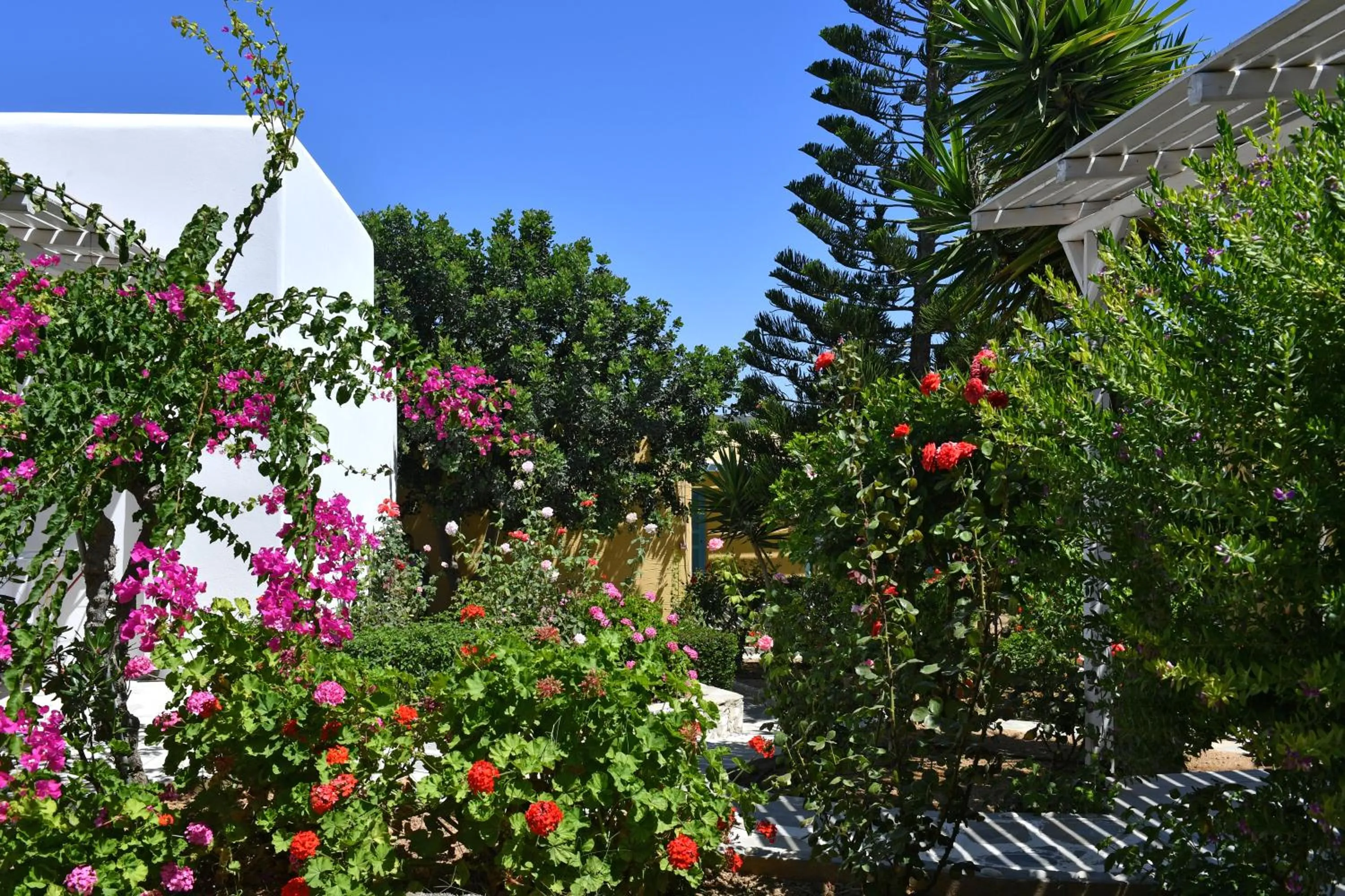 Garden in Surfing Beach Village Paros