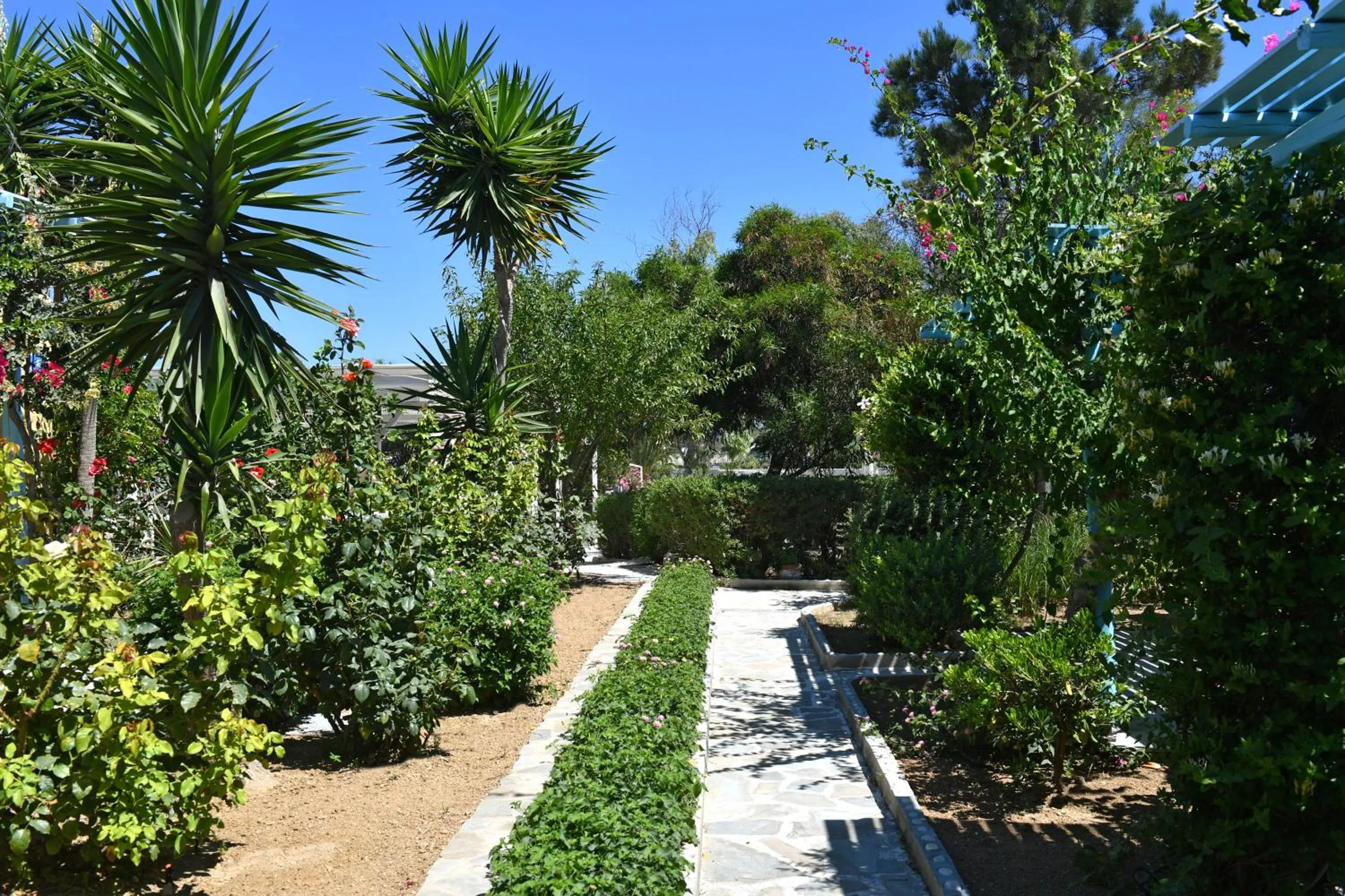 Garden in Surfing Beach Village Paros