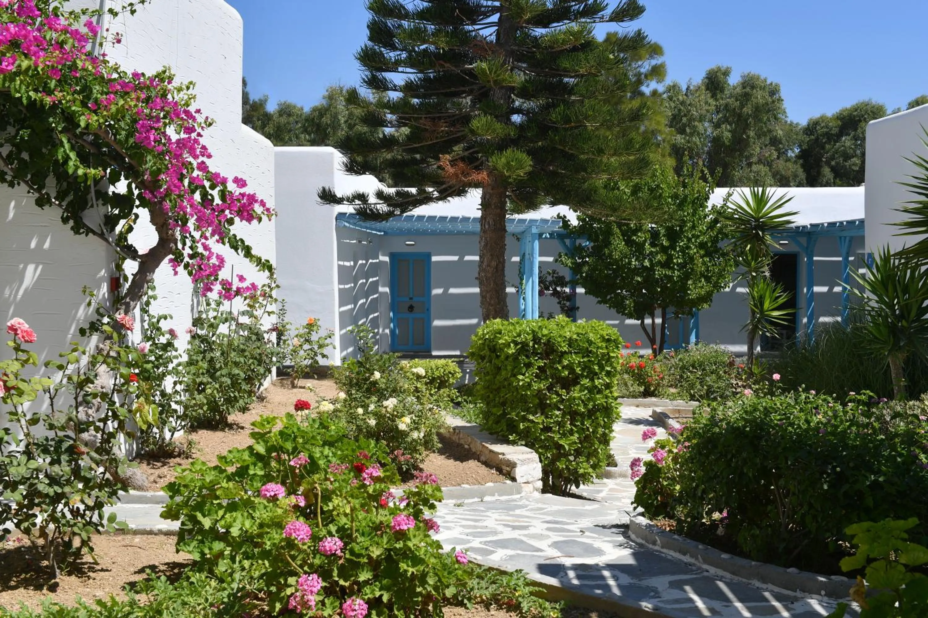 Garden in Surfing Beach Village Paros