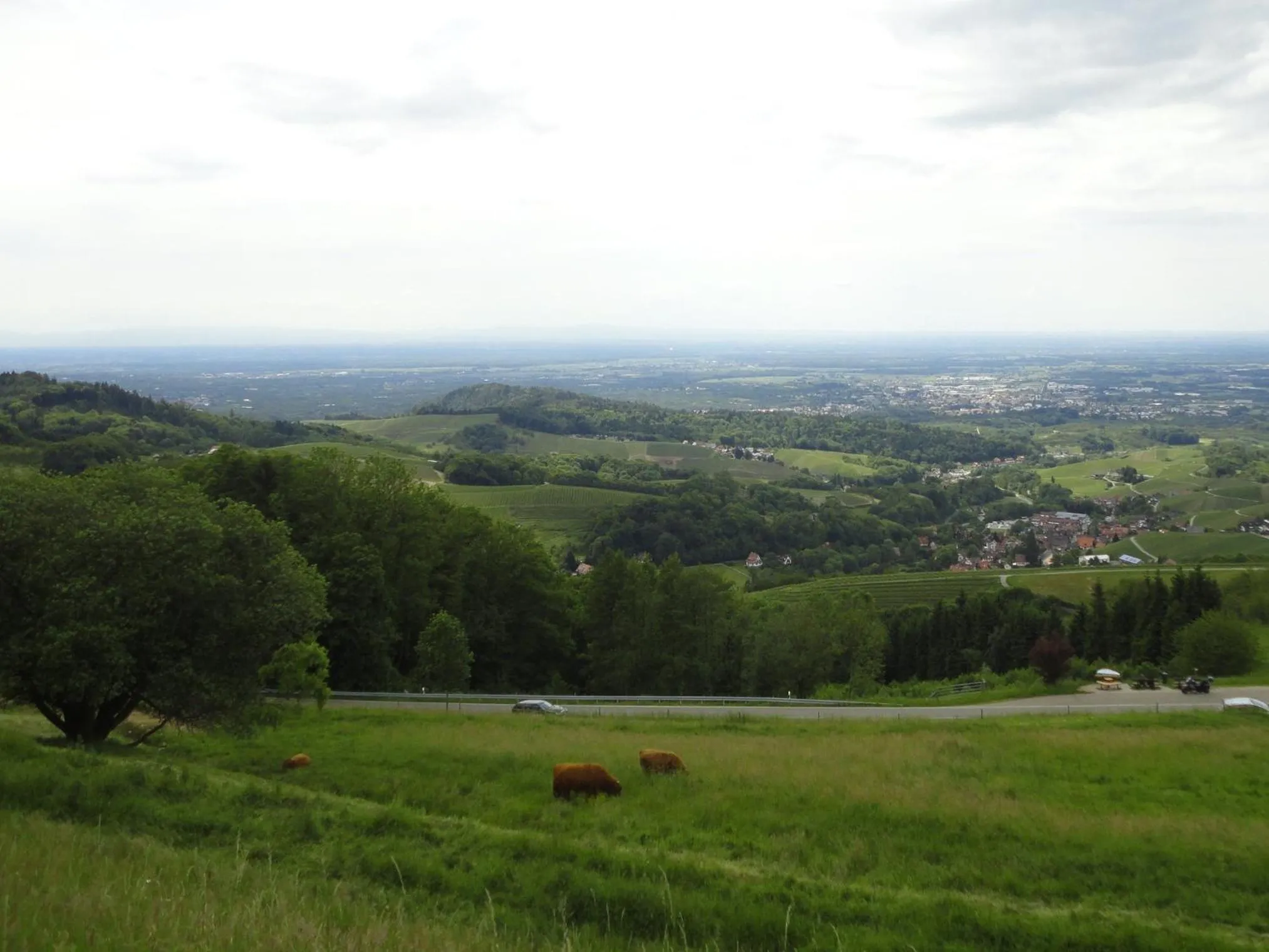 Burgblick