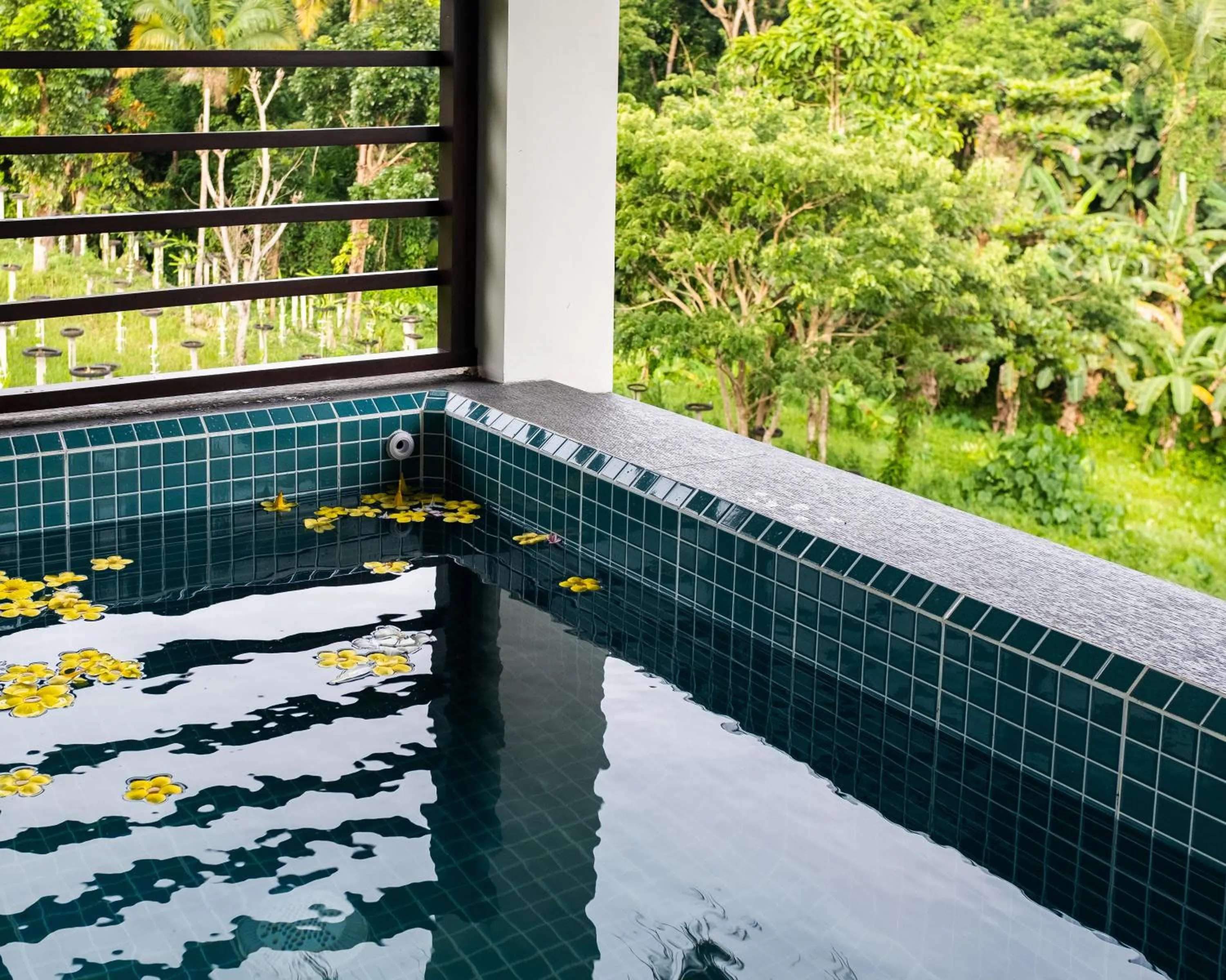Swimming pool in La Joya Farm Resort & Spa