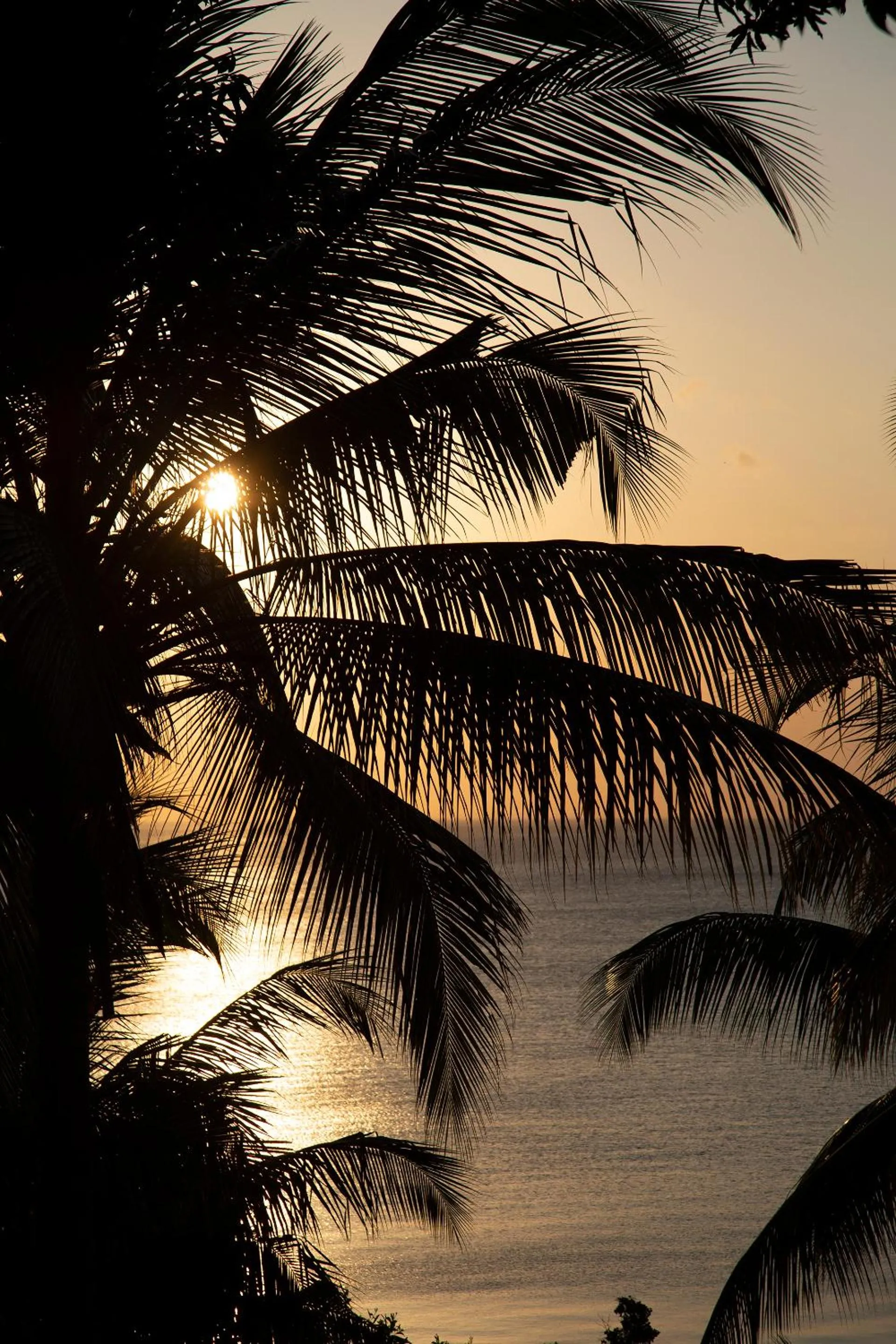 Natural landscape in Kileleni