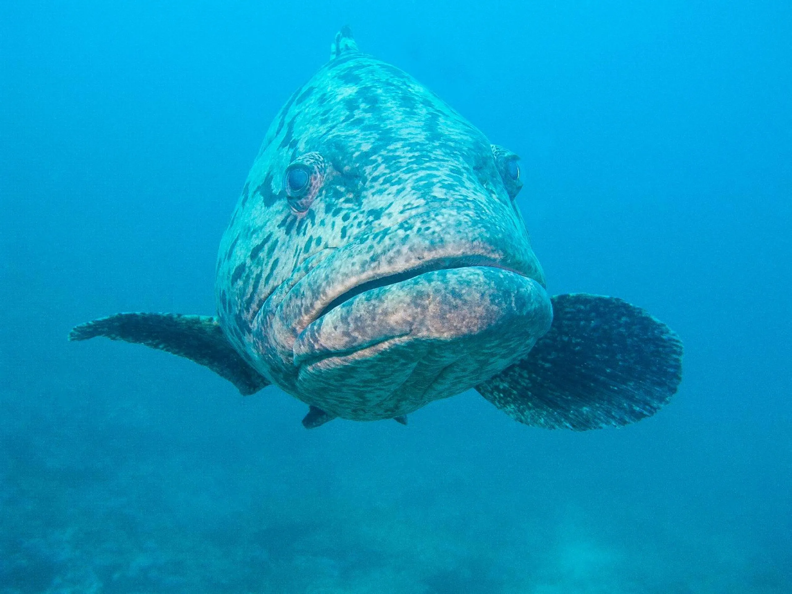 Natural landscape in Kileleni