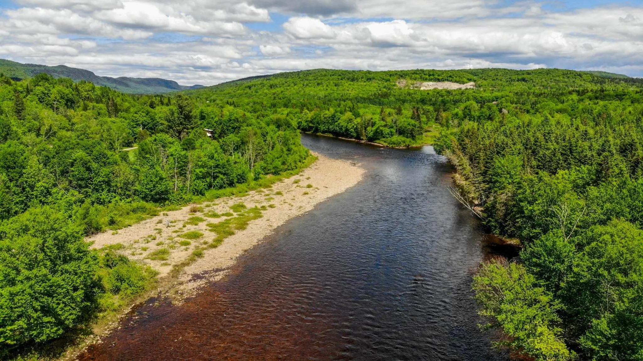 Summer in Riverside Cabin, Fishing, and Relaxation