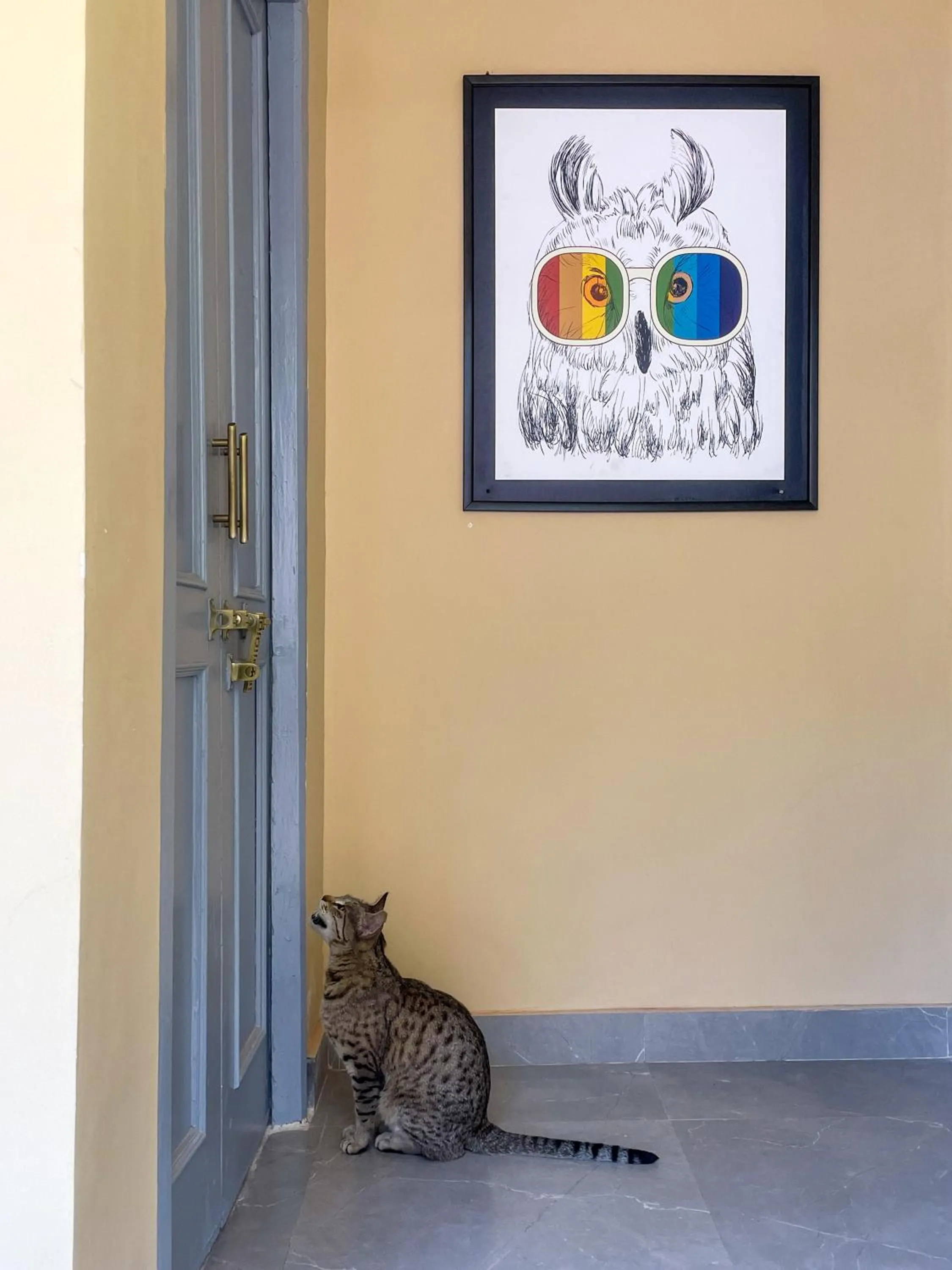 Decorative detail in Eevolve Dharamkot - An Eco Hostel