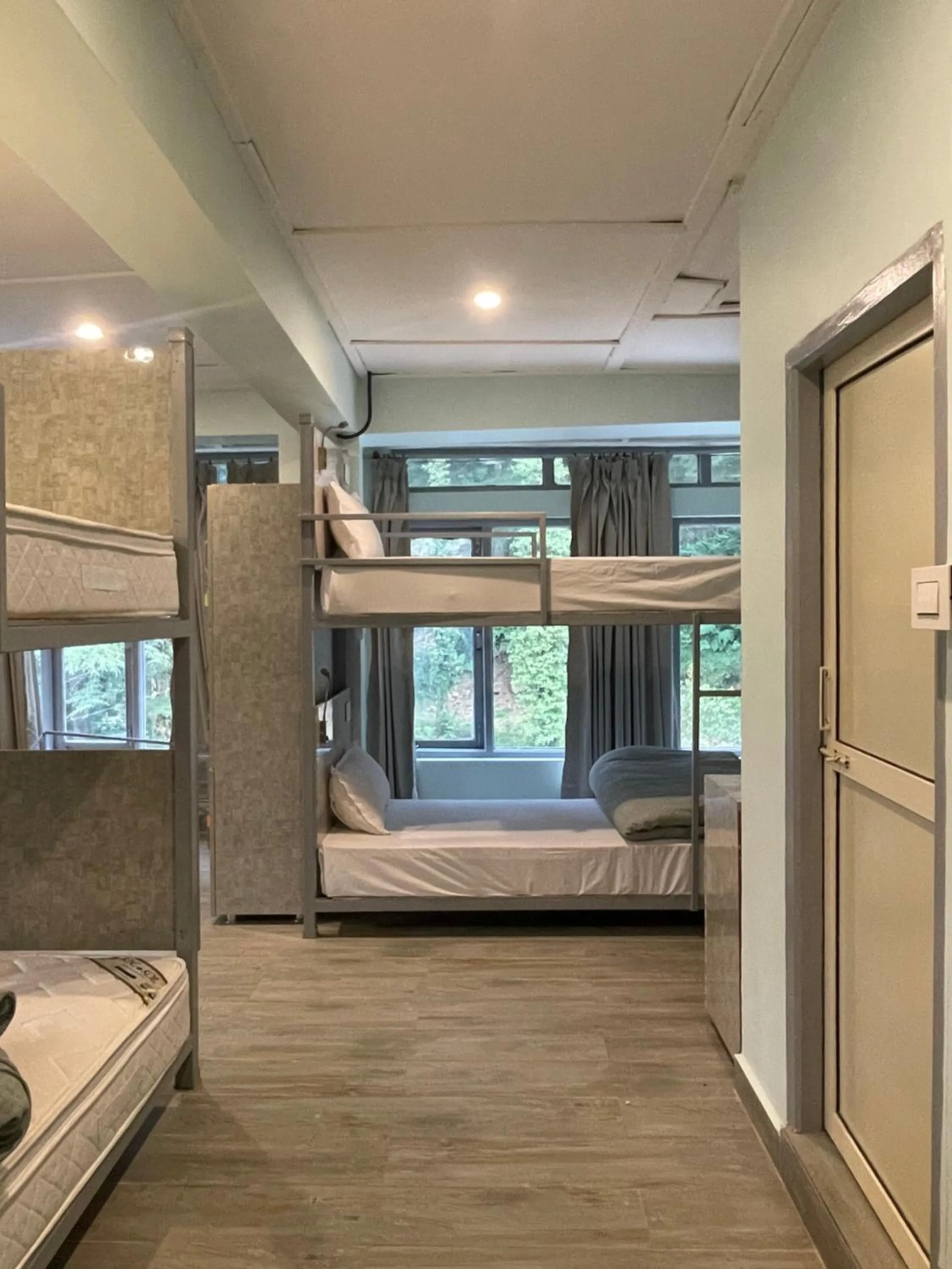 bunk bed, Bed in Eevolve Dharamkot - An Eco Hostel