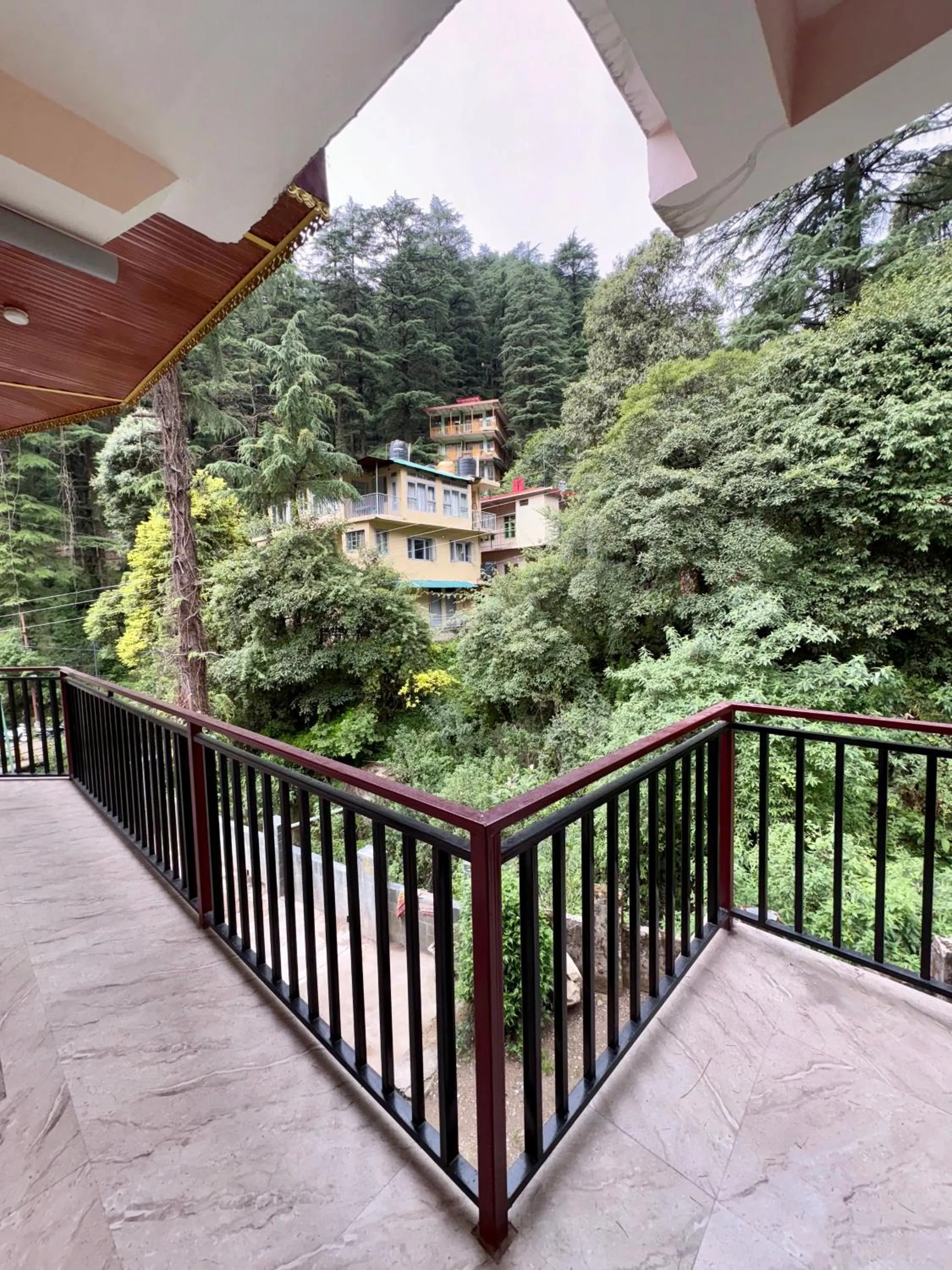 Natural landscape in Eevolve Dharamkot - An Eco Hostel