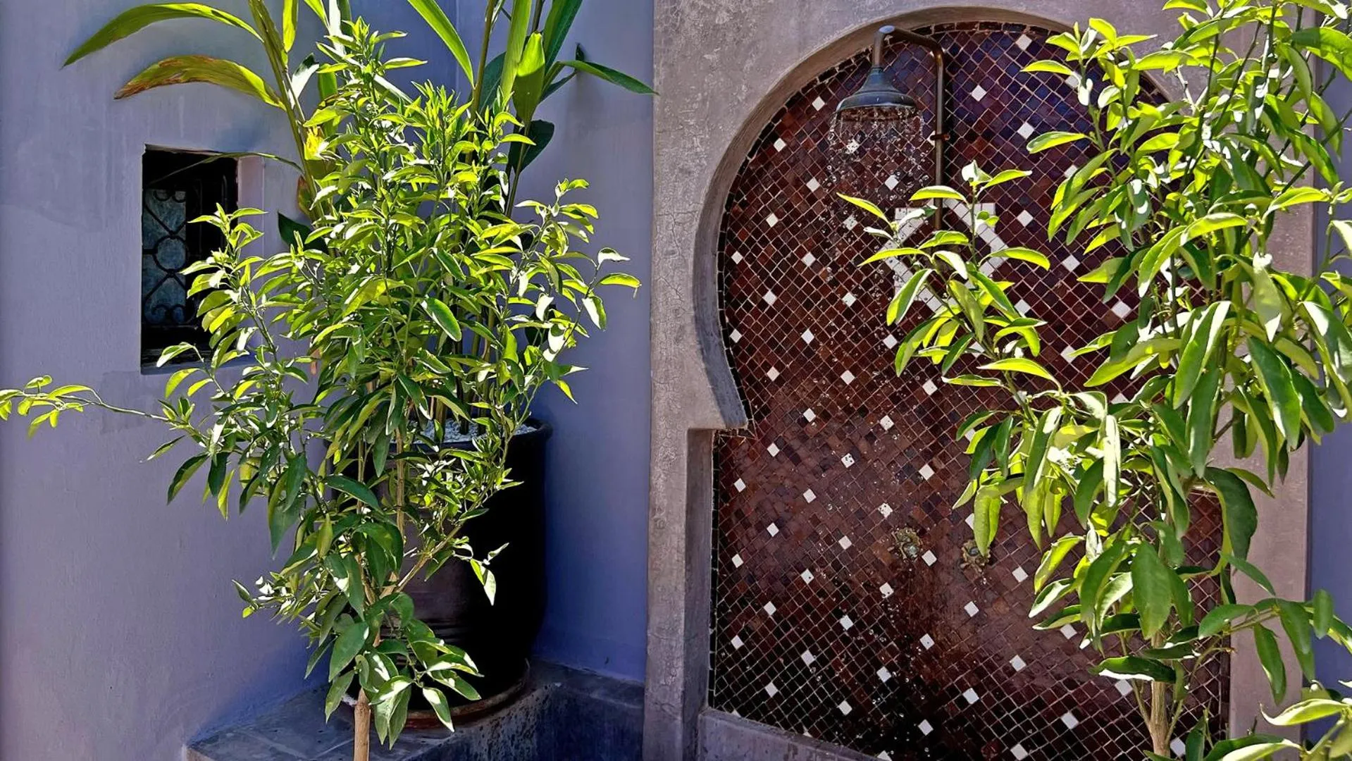 Patio in Riad Pourpre Medina