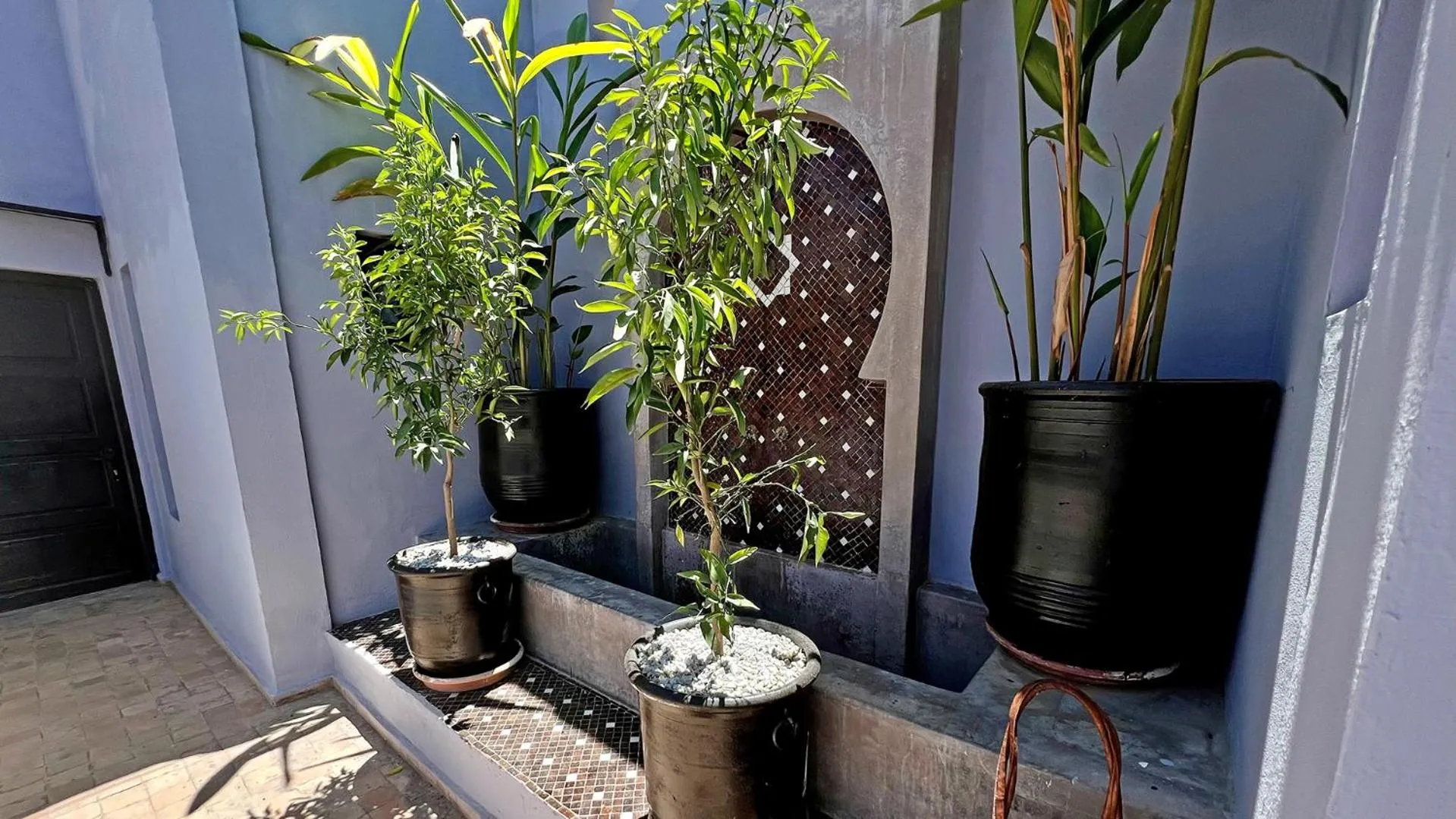 Day in Riad Pourpre Medina