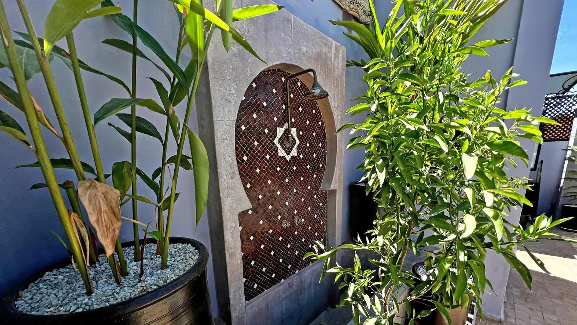 Garden view in Riad Pourpre Medina