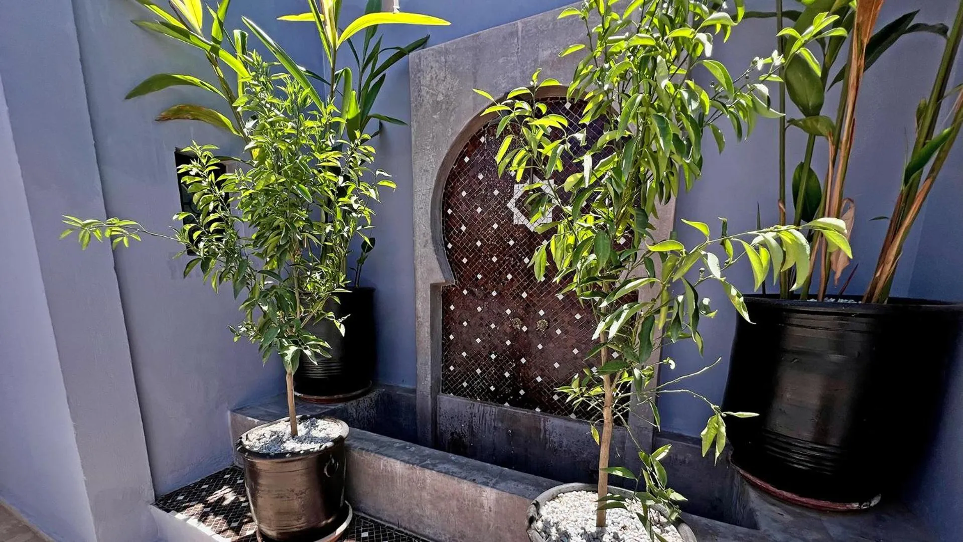 Day in Riad Pourpre Medina