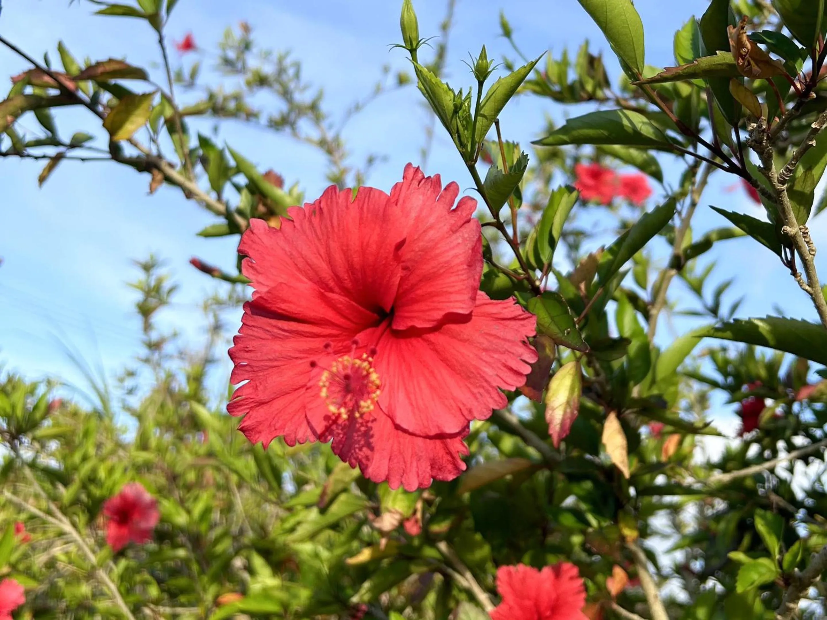 Off site in MORIYA iriomote HOTEL