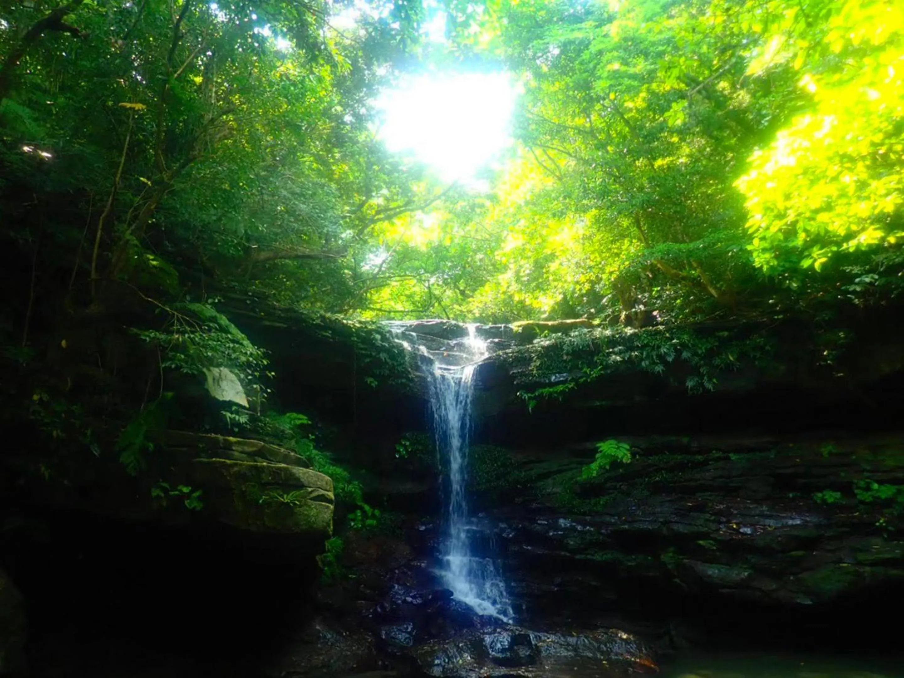 Off site in MORIYA iriomote HOTEL