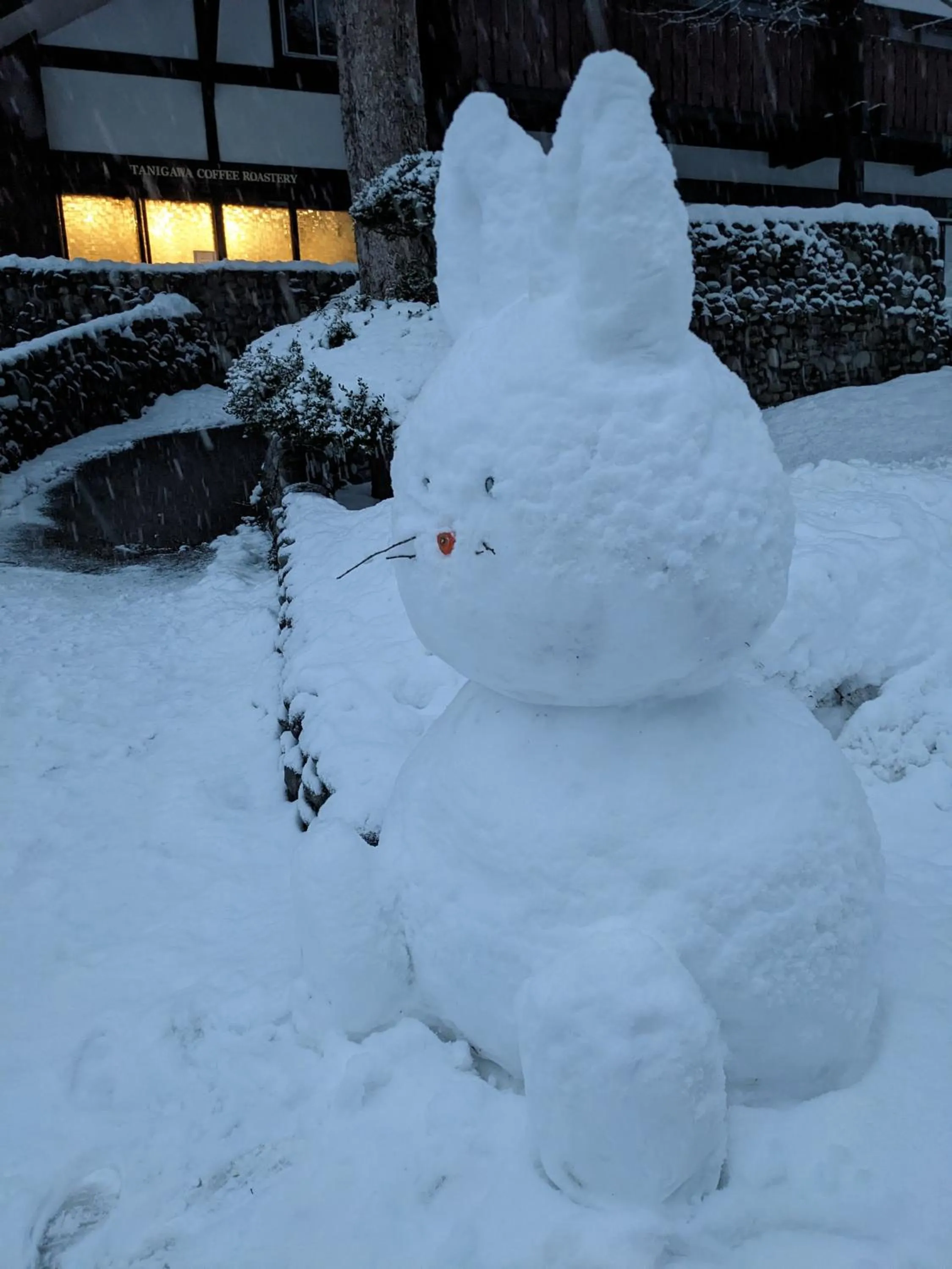 Winter in Tanigawa Valley Lodge & Coffee Roastery