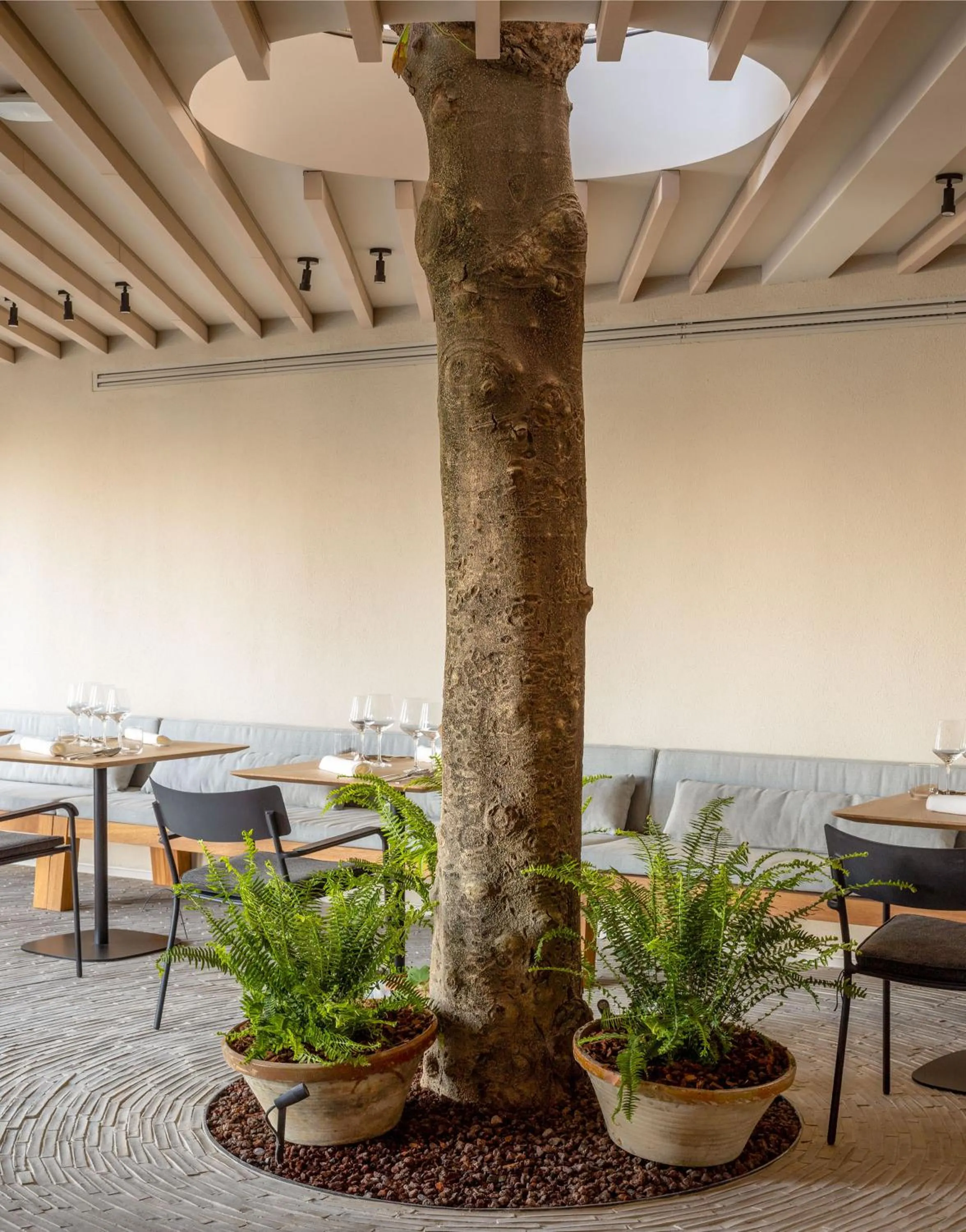 Restaurant/places to eat in Hotel Ur Bare