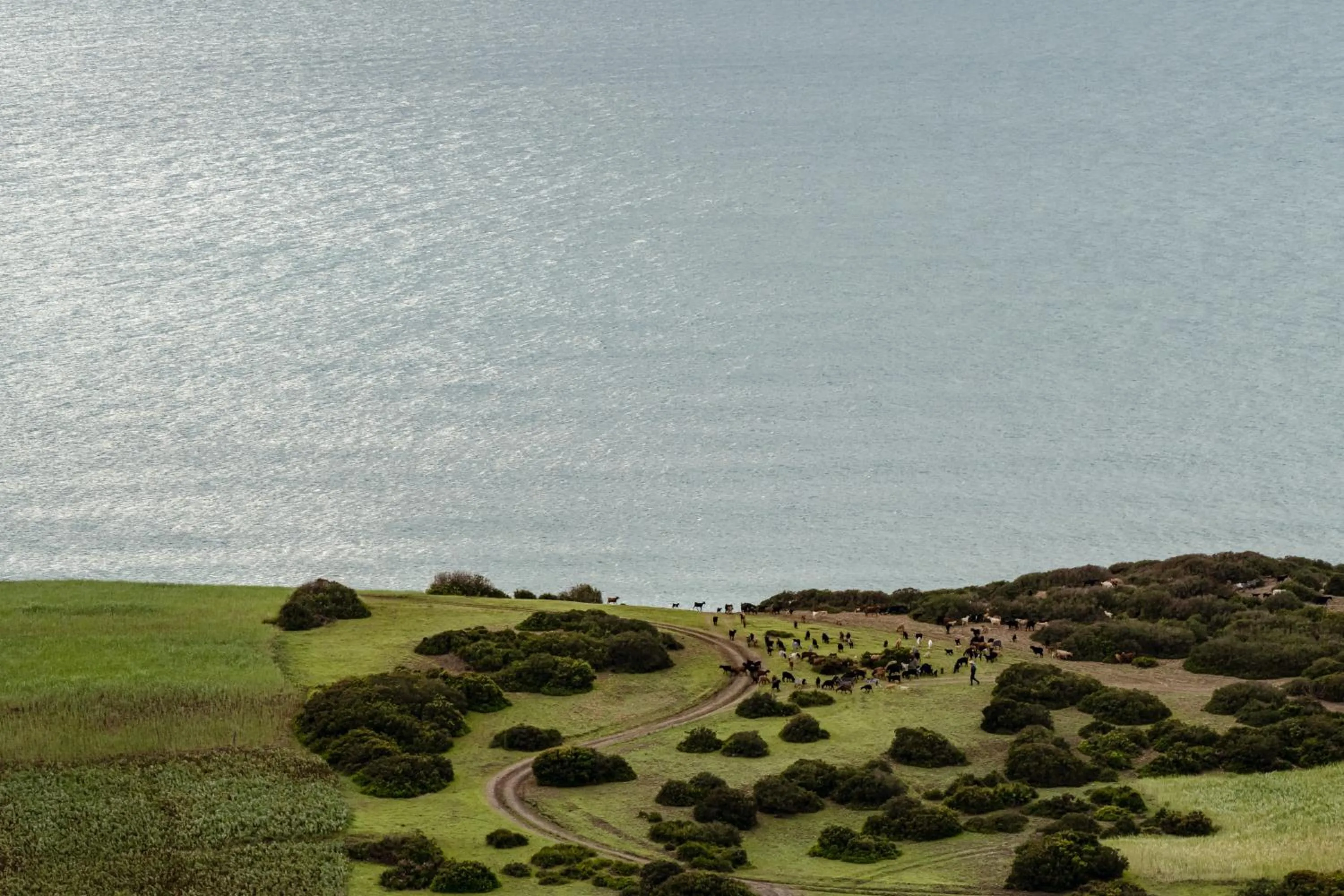 View (from property/room) in La Fiermontina Ocean
