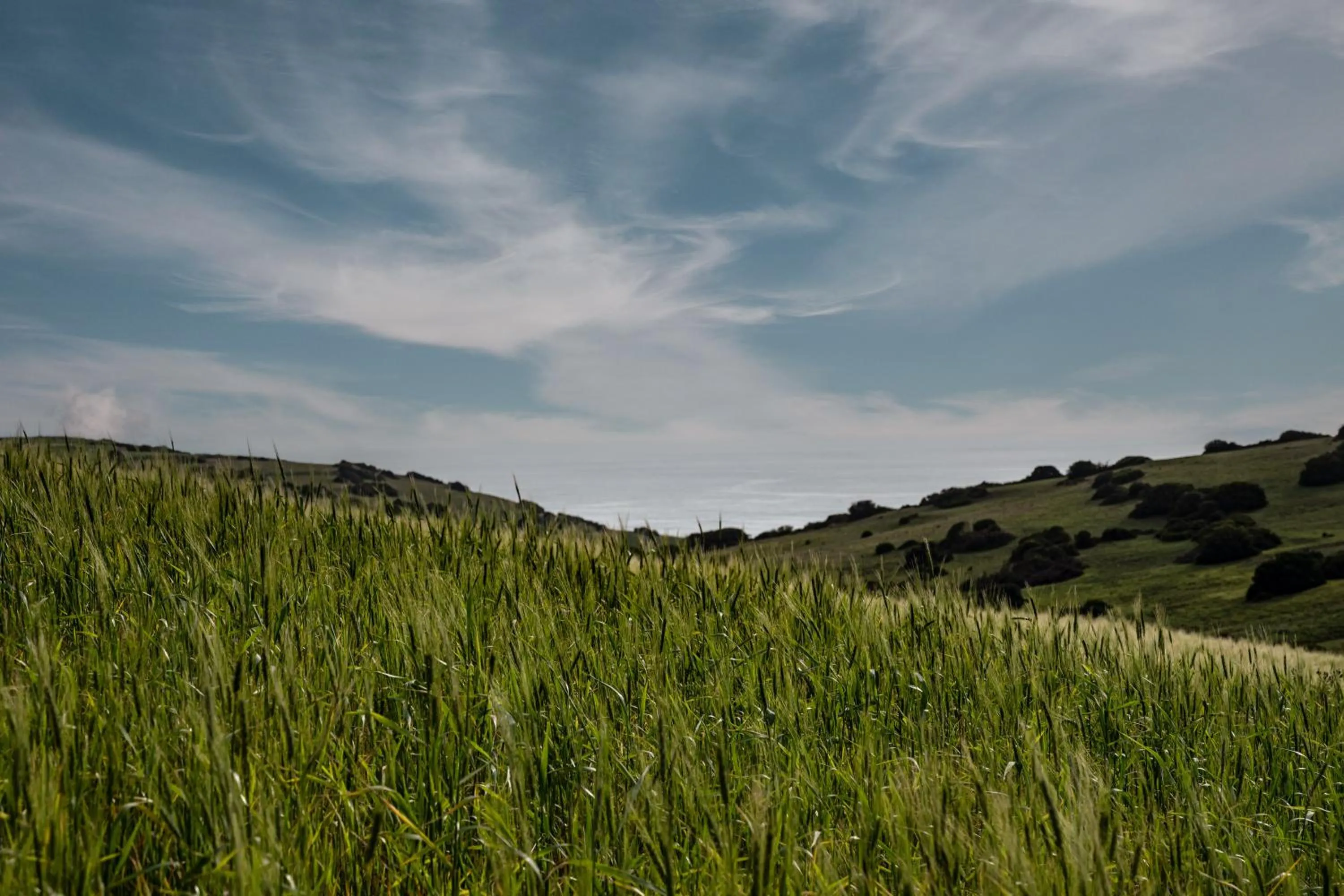 Natural landscape in La Fiermontina Ocean