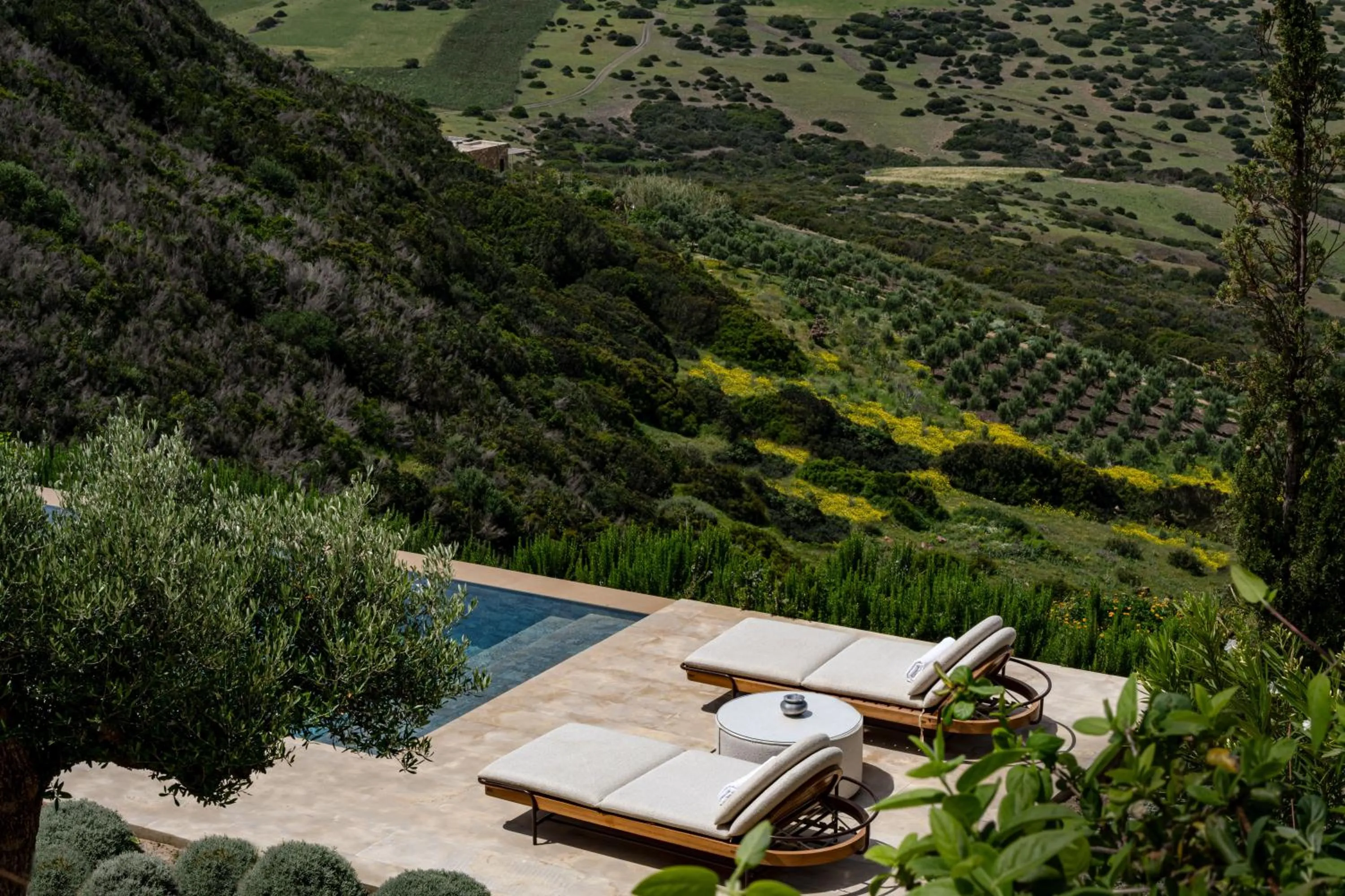 Garden view in La Fiermontina Ocean