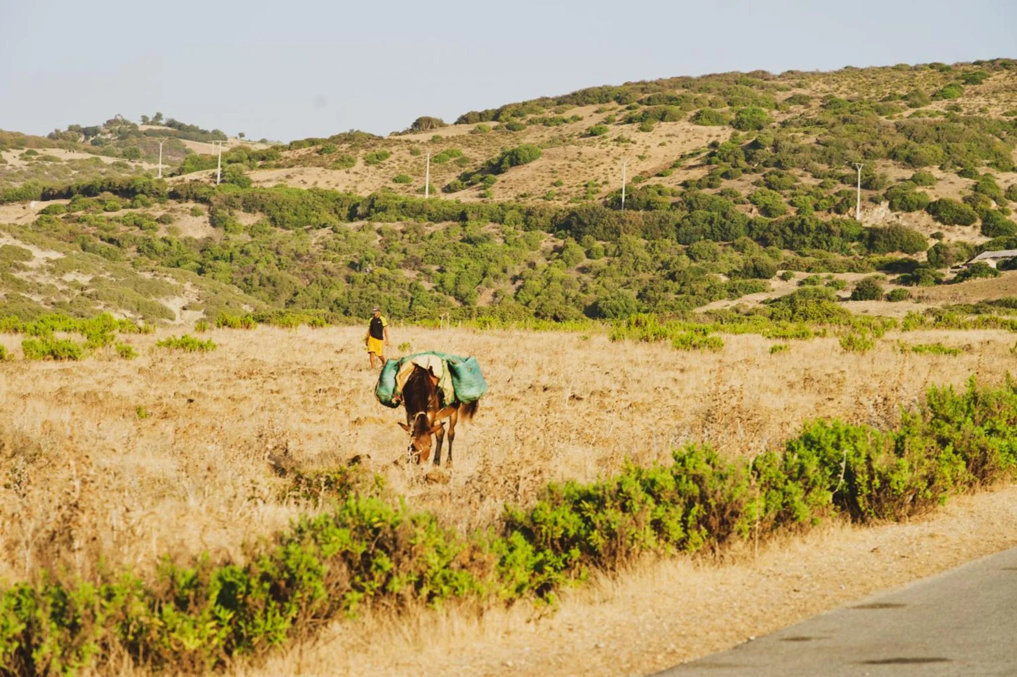 Natural landscape in La Fiermontina Ocean