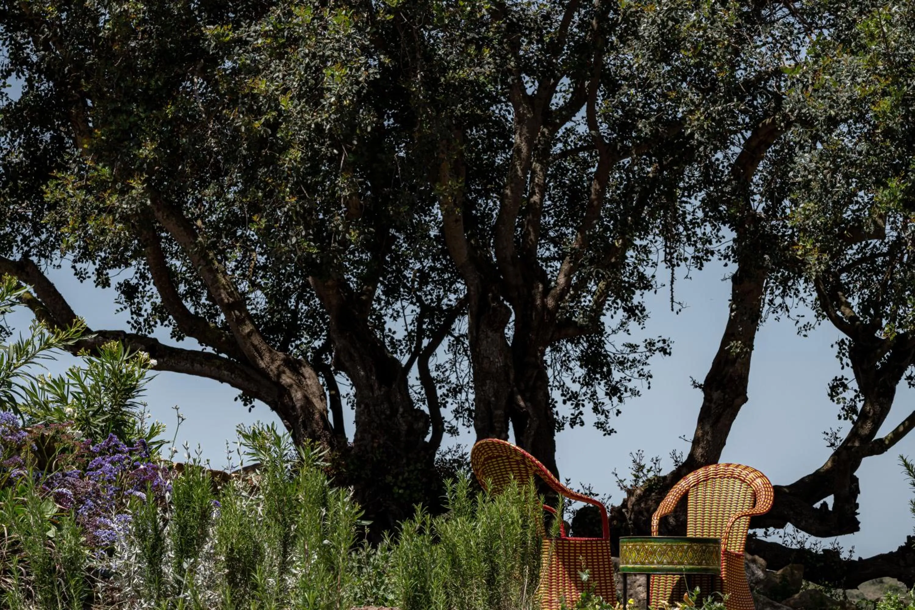 Garden in La Fiermontina Ocean